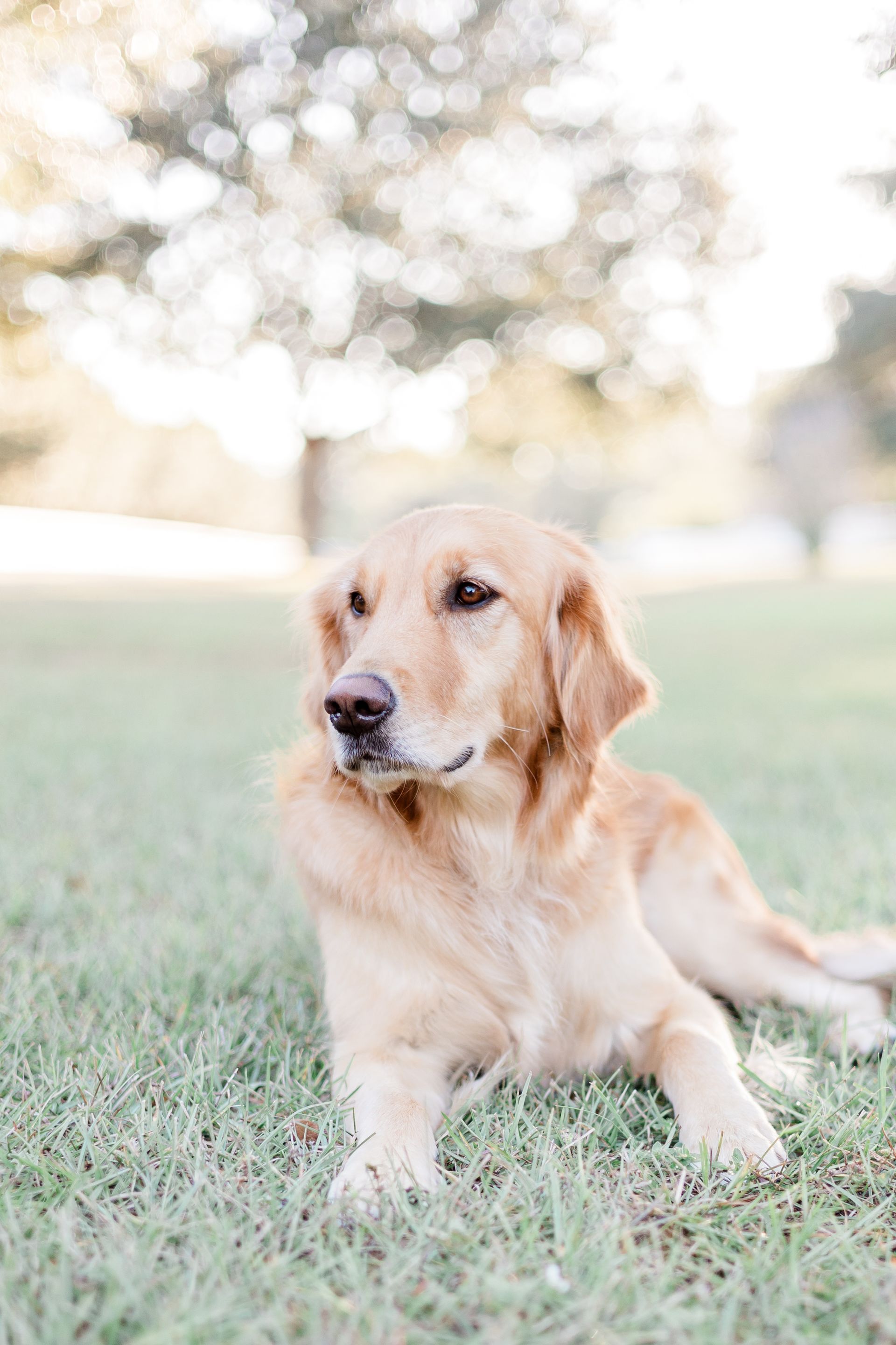 Ellie | Pensacola AC & Auto Service Center