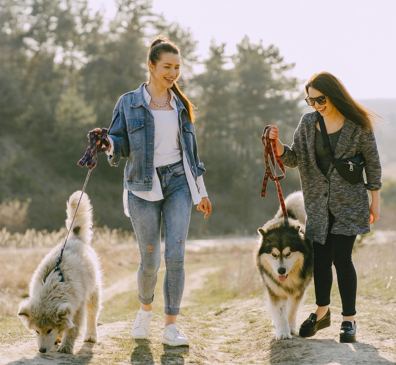 Two women are walking two husky dogs on leashes.