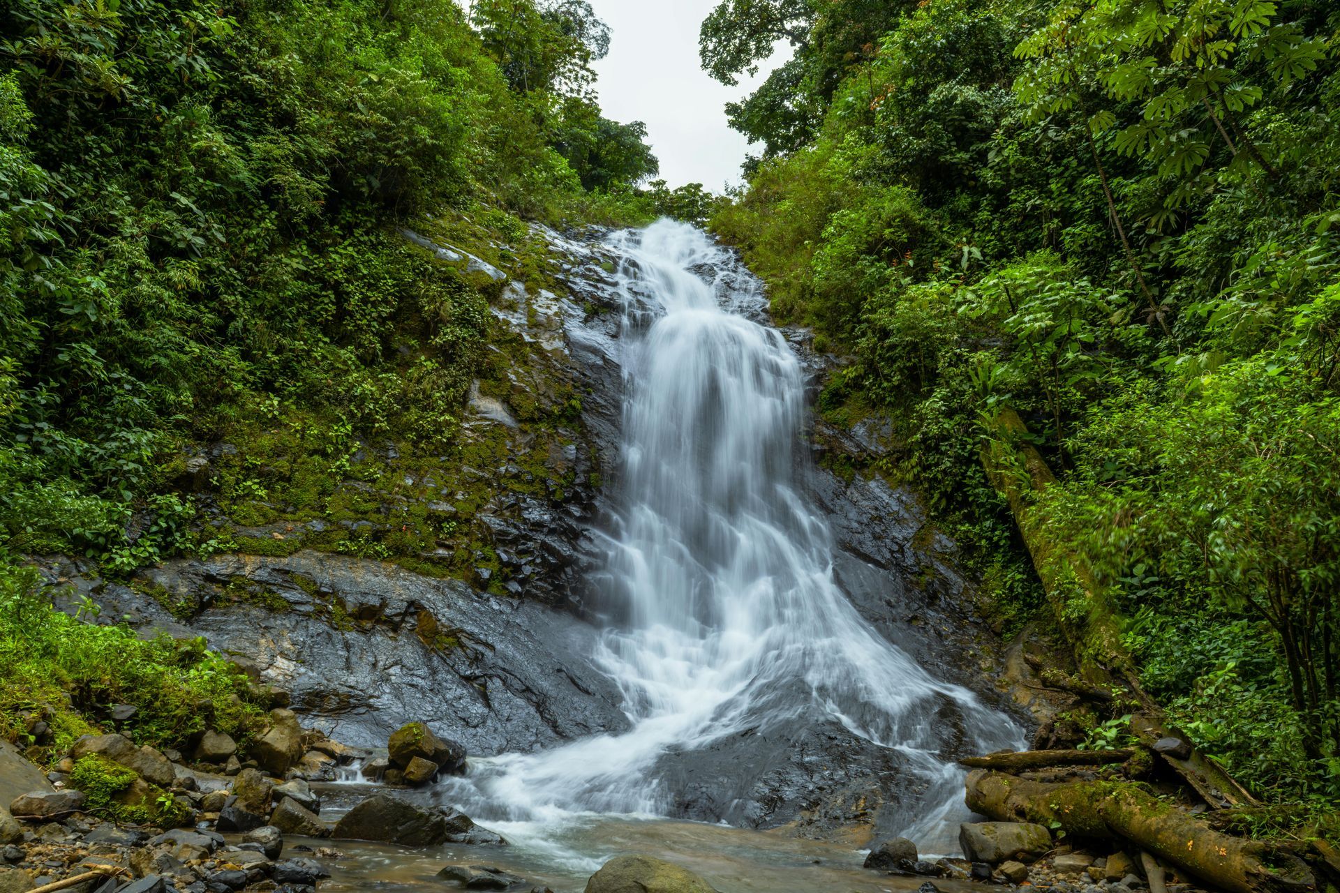 Waterfall cascading down dark rocks surrounded by lush green foliage.
