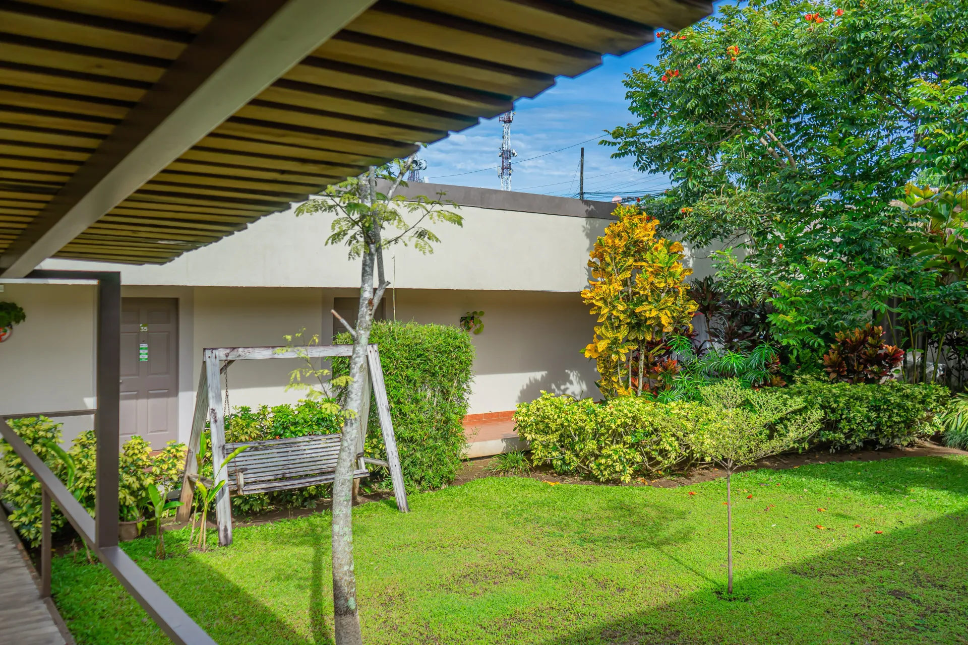 Césped y jardín con columpio. Césped verde exuberante y follaje colorido junto a un edificio.