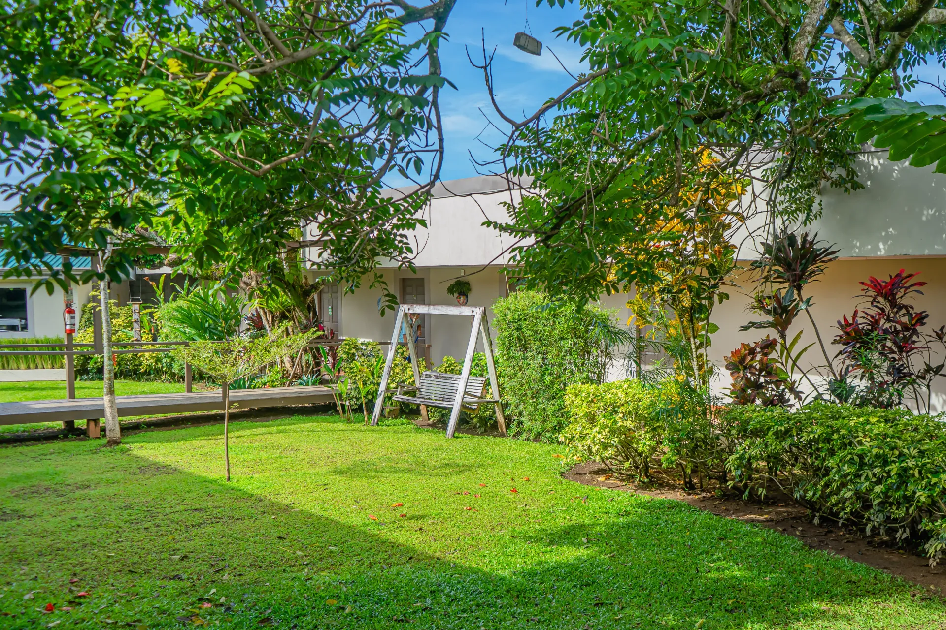 Patio verde con exuberante follaje, un columpio y un edificio blanco al fondo.