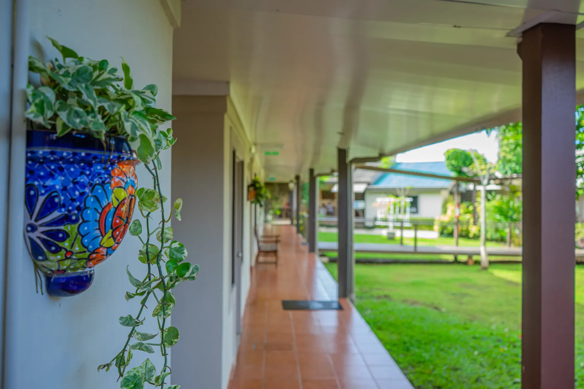Un pasillo con una maceta de cerámica a la izquierda, con vistas a un césped verde.