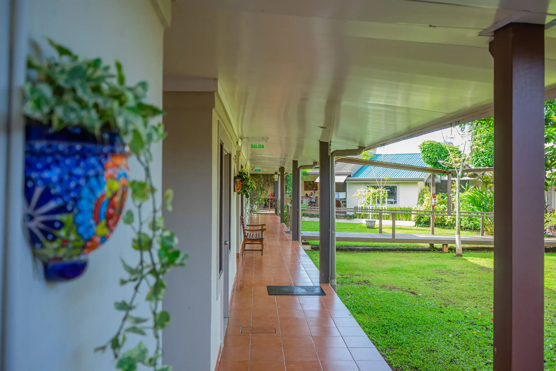 Pasarela cubierta con planta colgante, que conduce a un jardín y al edificio.