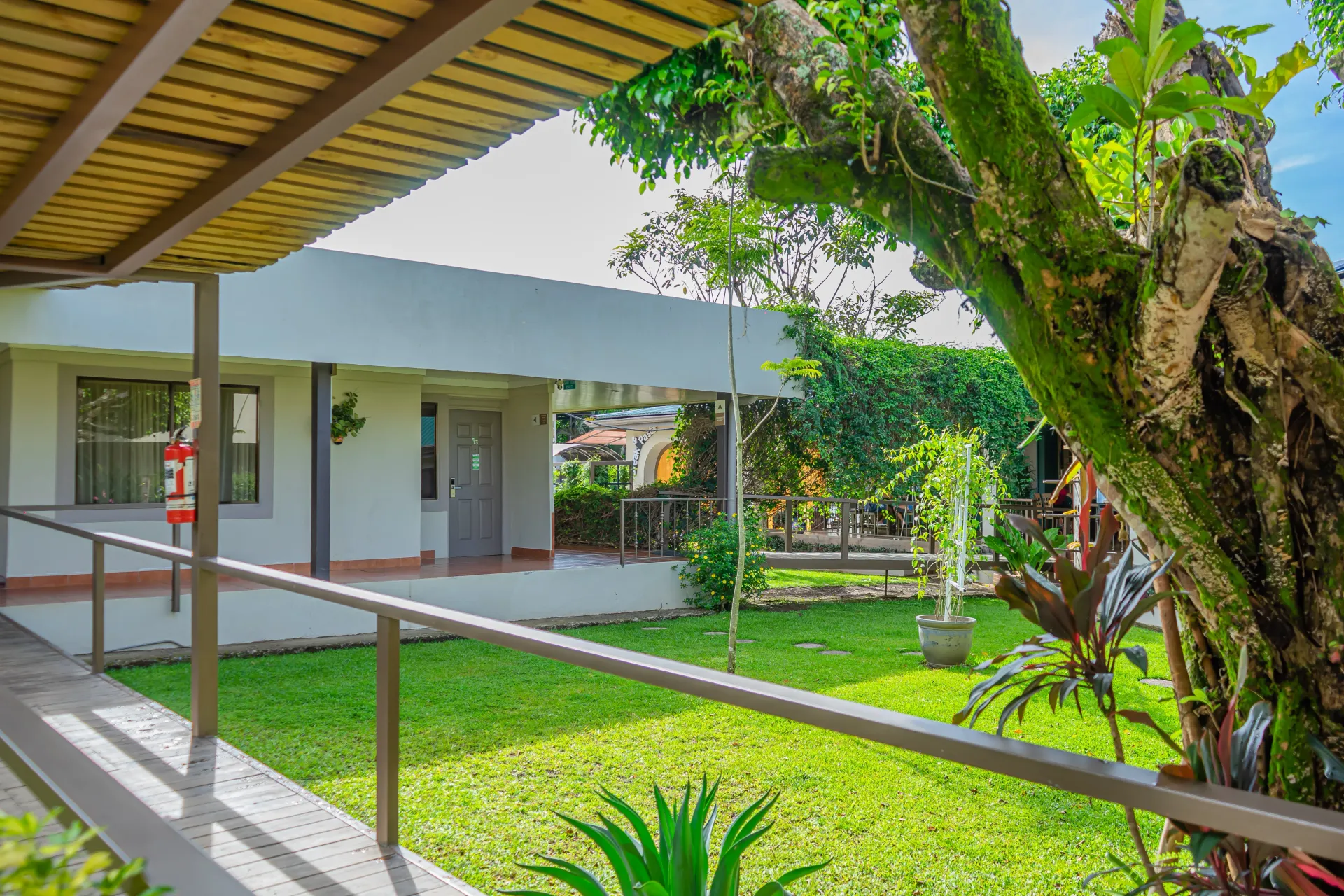 Un edificio con un pasillo cubierto y un patio con césped. Un gran árbol da sombra al patio.
