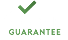 Mold remediation ct