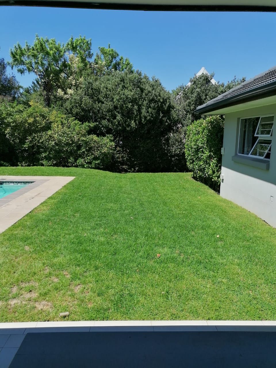 Groei PowerLawn Fertilizer - After photo