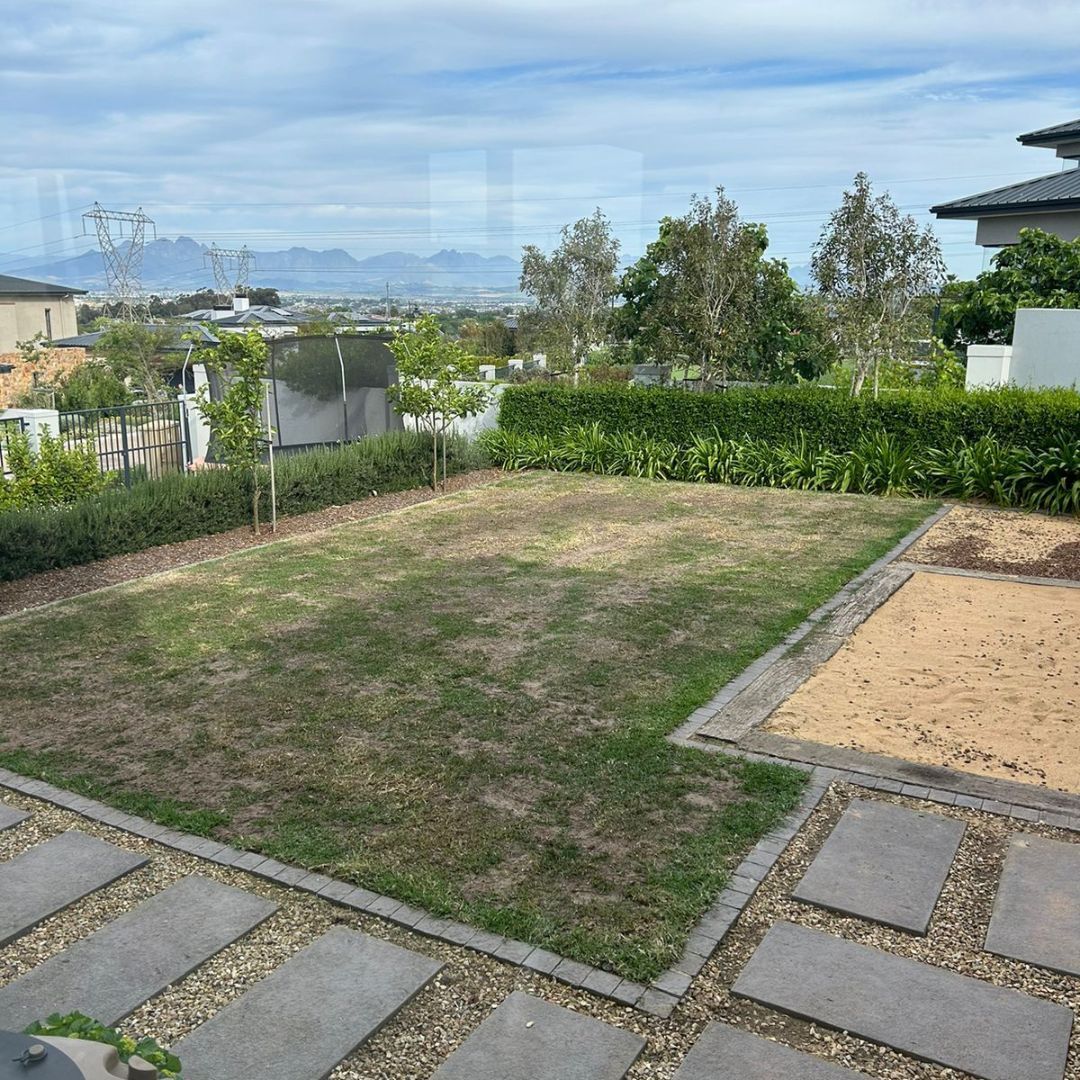 Groei PowerLawn Fertilizer - Before photo