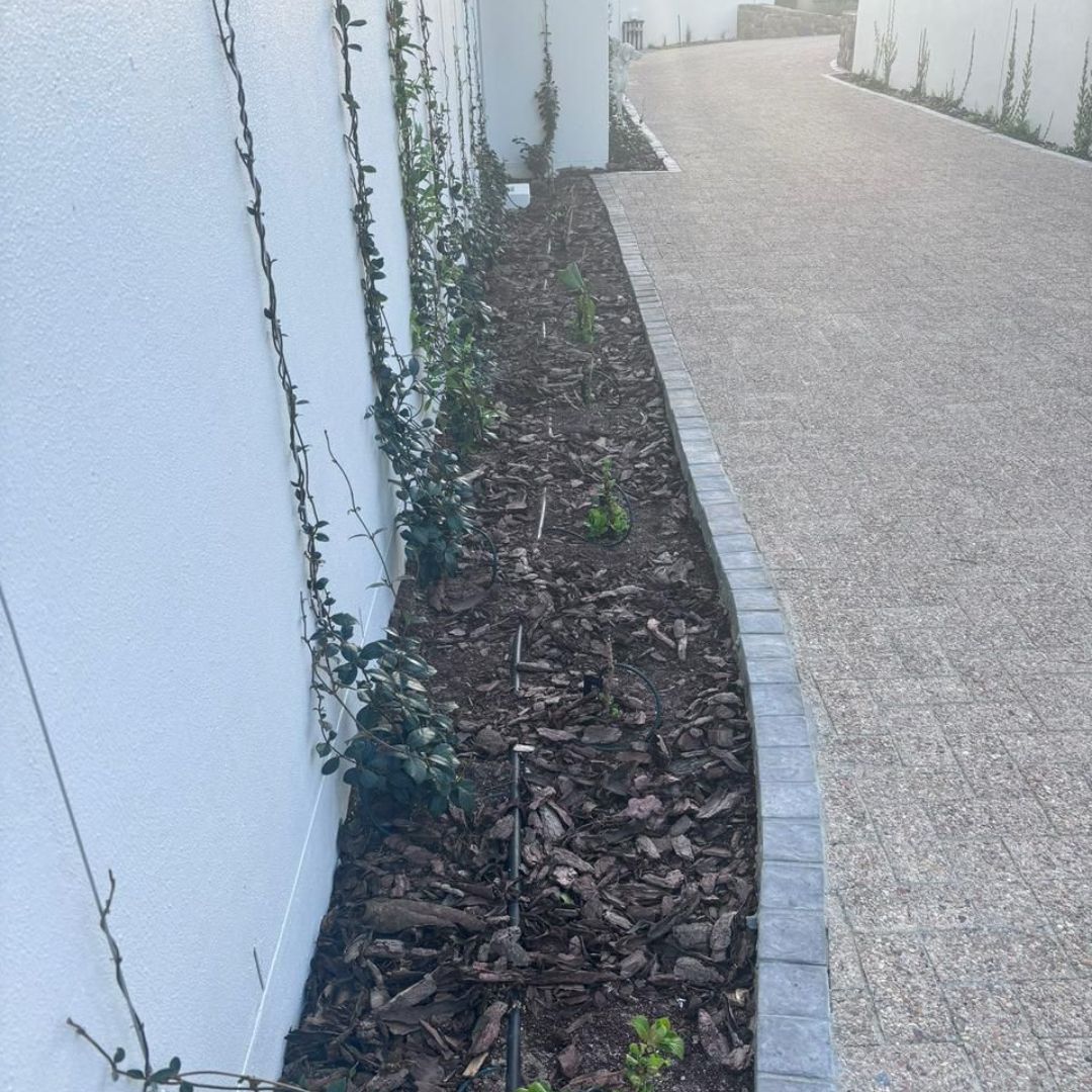 Groei PowerBloom Stimulant- Before photo