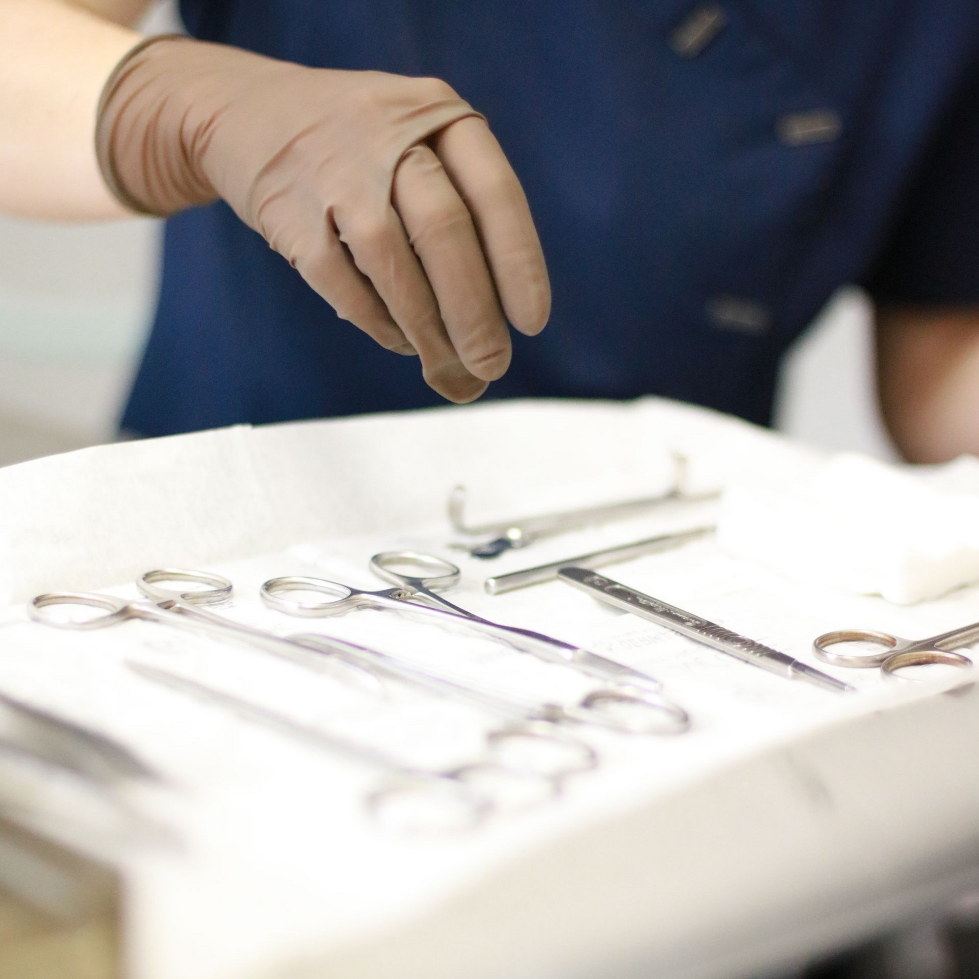 les risque opératoire chez le chat , mon chat va etre opérer