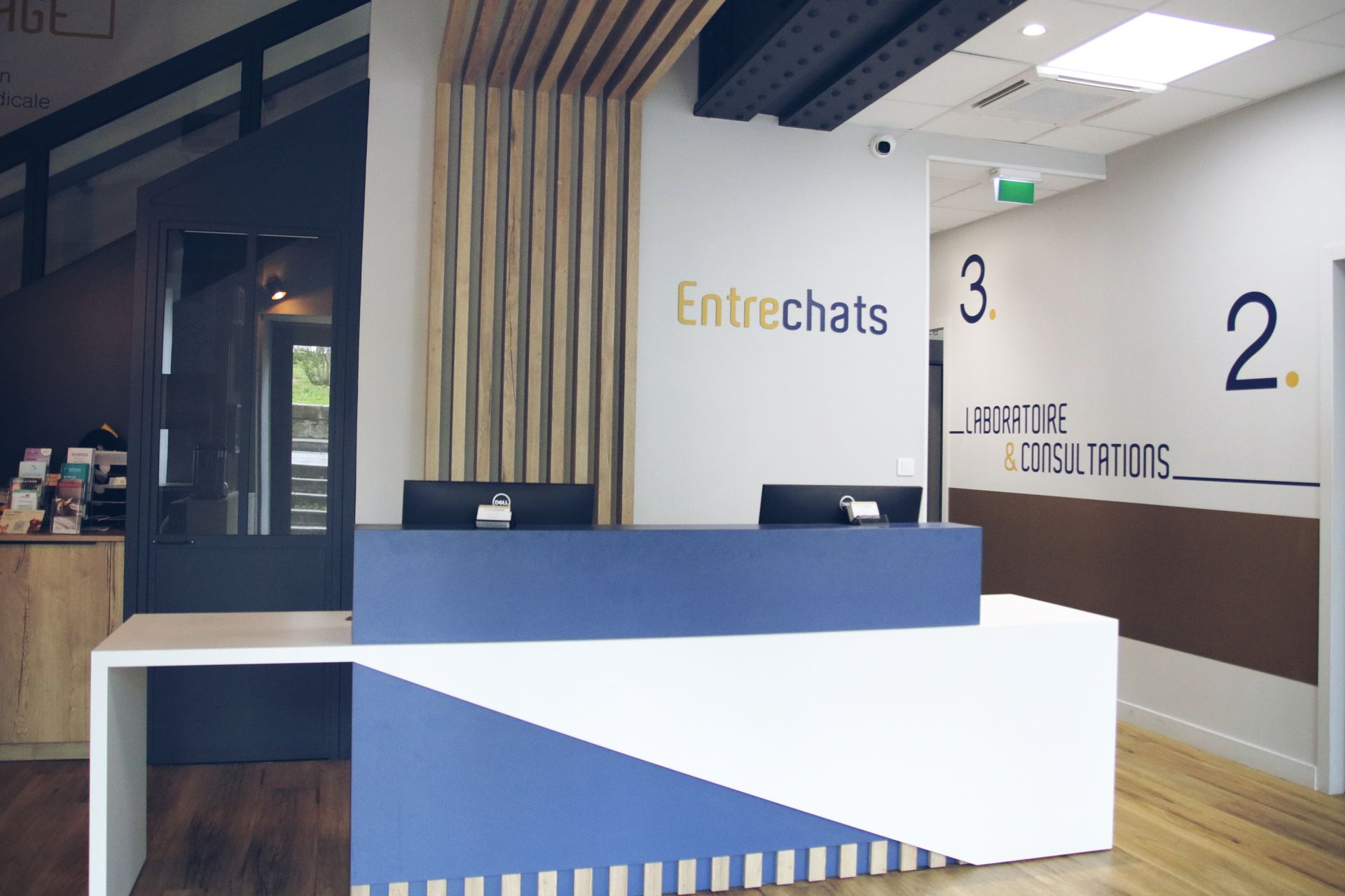 clinique vétérinaire féline, vétérinaire pour chats, vétérinaire spécialiste du chat, médecine féline, clinique féline Lyon, vétérinaire chats Lyon, soins pour chats, clinique Cat Friendly Lyon, hôpital pour chats, bien-être félin, spécialiste chat Rhône, Entrechats Lyon, consultation vétérinaire chat, vétérinaire chat Lyon, mon chat et moi Lyon, mon chat et moi Rhône, vaccination chat Lyon, médecine féline, soins chat, vétérinaire félin Rhône, check-up chat, prévention santé chat, vétérinaire comportement chat, chat stressé vétérinaire, chat agressif vétérinaire, comportement félin, clinique Cat Friendly Lyon, bien-être félin, soins doux chat, apaiser chat, hospitalisation chat, chirurgie féline, anesthésie chat, soins post-opératoires chat, hôpital vétérinaire Rhône, clinique féline Lyon, surveillance vétérinaire chat, chirurgie douce chat, nutrition féline, alimentation chat, prévention maladies chat, conseils vétérinaires chat, suivi de poids chat, santé féline Lyon, vétérinaire nutrition chat,clinique Cat Friendly Lyon, équipe vétérinaire chats, vétérinaire félin Lyon, médecine du chat, bien-être félin, soins respectueux, spécialiste chat Lyon, conseils vétérinaires chat, blog chat, santé du chat, comportement félin, soins chat Lyon, prévention chat,