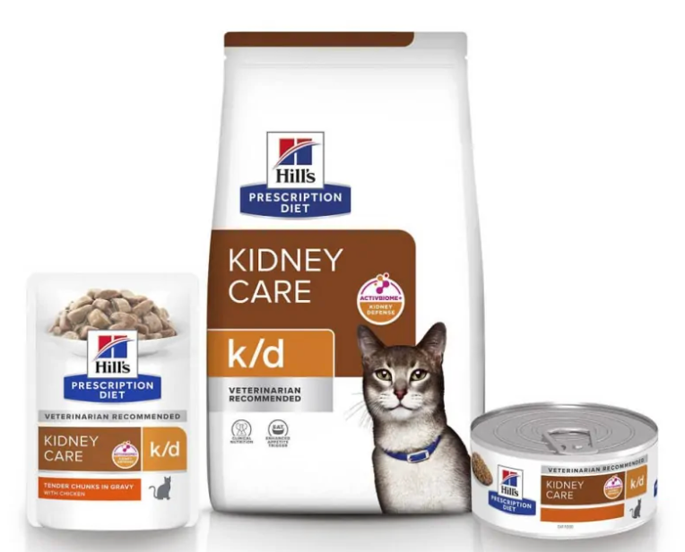 mon chat est insuffisant rénal, comment savoir si mon chat est insuffisant renal, insuffisance renal du chat , mon chat boit plus, mon chat maigrit ,vétérinaire féline, vétérinaire pour chats, vétérinaire spécialiste du chat, médecine féline, clinique féline Lyon, vétérinaire chats Lyon, soins pour chats, clinique Cat Friendly Lyon, hôpital pour chats, bien-être félin, spécialiste chat Rhône, Entrechats Lyon, consultation vétérinaire chat, vétérinaire chat Lyon, mon chat et moi Lyon, mon chat et moi Rhône, vaccination chat Lyon, médecine féline, soins chat, vétérinaire félin Rhône, check-up chat, prévention santé chat, vétérinaire comportement chat, chat stressé vétérinaire, chat agressif vétérinaire, comportement félin, clinique Cat Friendly Lyon, bien-être félin, soins doux chat, apaiser chat, hospitalisation chat, chirurgie féline, anesthésie chat, soins post-opératoires chat, hôpital vétérinaire Rhône, clinique féline Lyon, surveillance vétérinaire chat, chirurgie douce chat, nutrition féline, alimentation chat, prévention maladies chat, conseils vétérinaires chat, suivi de poids chat, santé féline Lyon, vétérinaire nutrition chat,clinique Cat Friendly Lyon, équipe vétérinaire chats, vétérinaire félin Lyon, médecine du chat, bien-être félin, soins respectueux, spécialiste chat Lyon, conseils vétérinaires chat, blog chat, santé du chat, comportement félin, soins chat Lyon, prévention chat