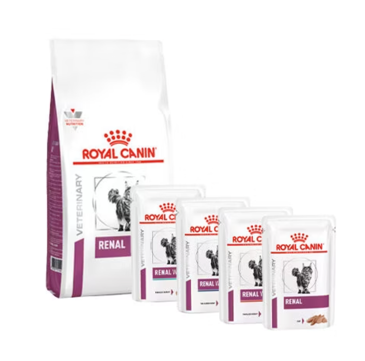 mon chat est insuffisant rénal, comment savoir si mon chat est insuffisant renal, insuffisance renal du chat , mon chat boit plus, mon chat maigrit ,vétérinaire féline, vétérinaire pour chats, vétérinaire spécialiste du chat, médecine féline, clinique féline Lyon, vétérinaire chats Lyon, soins pour chats, clinique Cat Friendly Lyon, hôpital pour chats, bien-être félin, spécialiste chat Rhône, Entrechats Lyon, consultation vétérinaire chat, vétérinaire chat Lyon, mon chat et moi Lyon, mon chat et moi Rhône, vaccination chat Lyon, médecine féline, soins chat, vétérinaire félin Rhône, check-up chat, prévention santé chat, vétérinaire comportement chat, chat stressé vétérinaire, chat agressif vétérinaire, comportement félin, clinique Cat Friendly Lyon, bien-être félin, soins doux chat, apaiser chat, hospitalisation chat, chirurgie féline, anesthésie chat, soins post-opératoires chat, hôpital vétérinaire Rhône, clinique féline Lyon, surveillance vétérinaire chat, chirurgie douce chat, nutrition féline, alimentation chat, prévention maladies chat, conseils vétérinaires chat, suivi de poids chat, santé féline Lyon, vétérinaire nutrition chat,clinique Cat Friendly Lyon, équipe vétérinaire chats, vétérinaire félin Lyon, médecine du chat, bien-être félin, soins respectueux, spécialiste chat Lyon, conseils vétérinaires chat, blog chat, santé du chat, comportement félin, soins chat Lyon, prévention chat