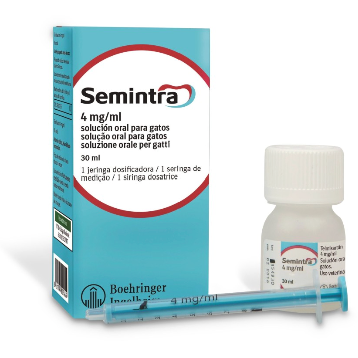 mon chat est insuffisant rénal, comment savoir si mon chat est insuffisant renal, insuffisance renal du chat , mon chat boit plus, mon chat maigrit ,vétérinaire féline, vétérinaire pour chats, vétérinaire spécialiste du chat, médecine féline, clinique féline Lyon, vétérinaire chats Lyon, soins pour chats, clinique Cat Friendly Lyon, hôpital pour chats, bien-être félin, spécialiste chat Rhône, Entrechats Lyon, consultation vétérinaire chat, vétérinaire chat Lyon, mon chat et moi Lyon, mon chat et moi Rhône, vaccination chat Lyon, médecine féline, soins chat, vétérinaire félin Rhône, check-up chat, prévention santé chat, vétérinaire comportement chat, chat stressé vétérinaire, chat agressif vétérinaire, comportement félin, clinique Cat Friendly Lyon, bien-être félin, soins doux chat, apaiser chat, hospitalisation chat, chirurgie féline, anesthésie chat, soins post-opératoires chat, hôpital vétérinaire Rhône, clinique féline Lyon, surveillance vétérinaire chat, chirurgie douce chat, nutrition féline, alimentation chat, prévention maladies chat, conseils vétérinaires chat, suivi de poids chat, santé féline Lyon, vétérinaire nutrition chat,clinique Cat Friendly Lyon, équipe vétérinaire chats, vétérinaire félin Lyon, médecine du chat, bien-être félin, soins respectueux, spécialiste chat Lyon, conseils vétérinaires chat, blog chat, santé du chat, comportement félin, soins chat Lyon, prévention chat