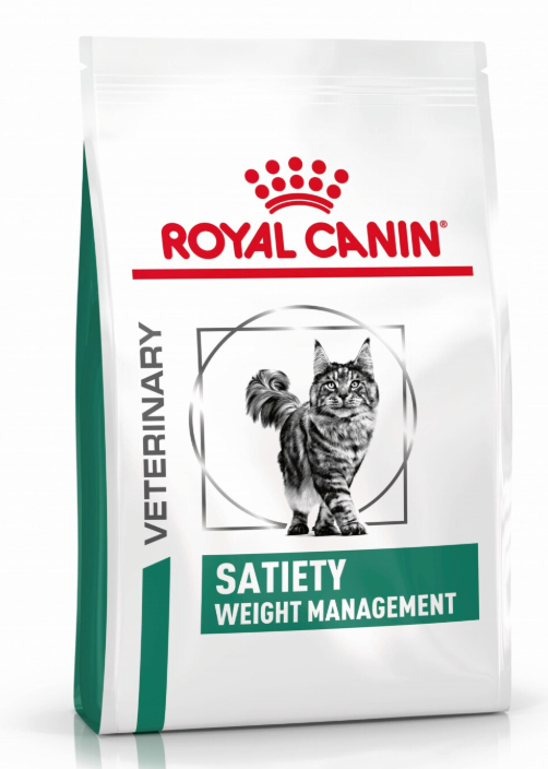 Mon chat est gros, mon chat a pris du poids, mon chat mange beaucoup, comment faire maigrir mon chat, mon chat est en surpoids, médecine féline, clinique féline Lyon, vétérinaire chats Lyon, soins pour chats, clinique Cat Friendly Lyon, hôpital pour chats, bien-être félin, spécialiste chat Rhône, Entrechats Lyon, consultation vétérinaire chat, vétérinaire chat Lyon, mon chat et moi Lyon, mon chat et moi Rhône, vaccination chat Lyon, médecine féline, soins chat, vétérinaire félin Rhône, check-up chat, prévention santé chat, vétérinaire comportement chat, chat stressé vétérinaire, chat agressif vétérinaire, comportement félin, clinique Cat Friendly Lyon, bien-être félin, soins doux chat, apaiser chat, hospitalisation chat, chirurgie féline, anesthésie chat, soins post-opératoires chat, hôpital vétérinaire Rhône, clinique féline Lyon, surveillance vétérinaire chat, chirurgie douce chat, nutrition féline, alimentation chat, prévention maladies chat, conseils vétérinaires chat, suivi de poids chat, santé féline Lyon, vétérinaire nutrition chat,clinique Cat Friendly Lyon, équipe vétérinaire chats, vétérinaire félin Lyon, médecine du chat, bien-être félin, soins respectueux, spécialiste chat Lyon, conseils vétérinaires chat, blog chat, santé du chat, comportement félin, soins chat Lyon, prévention chat