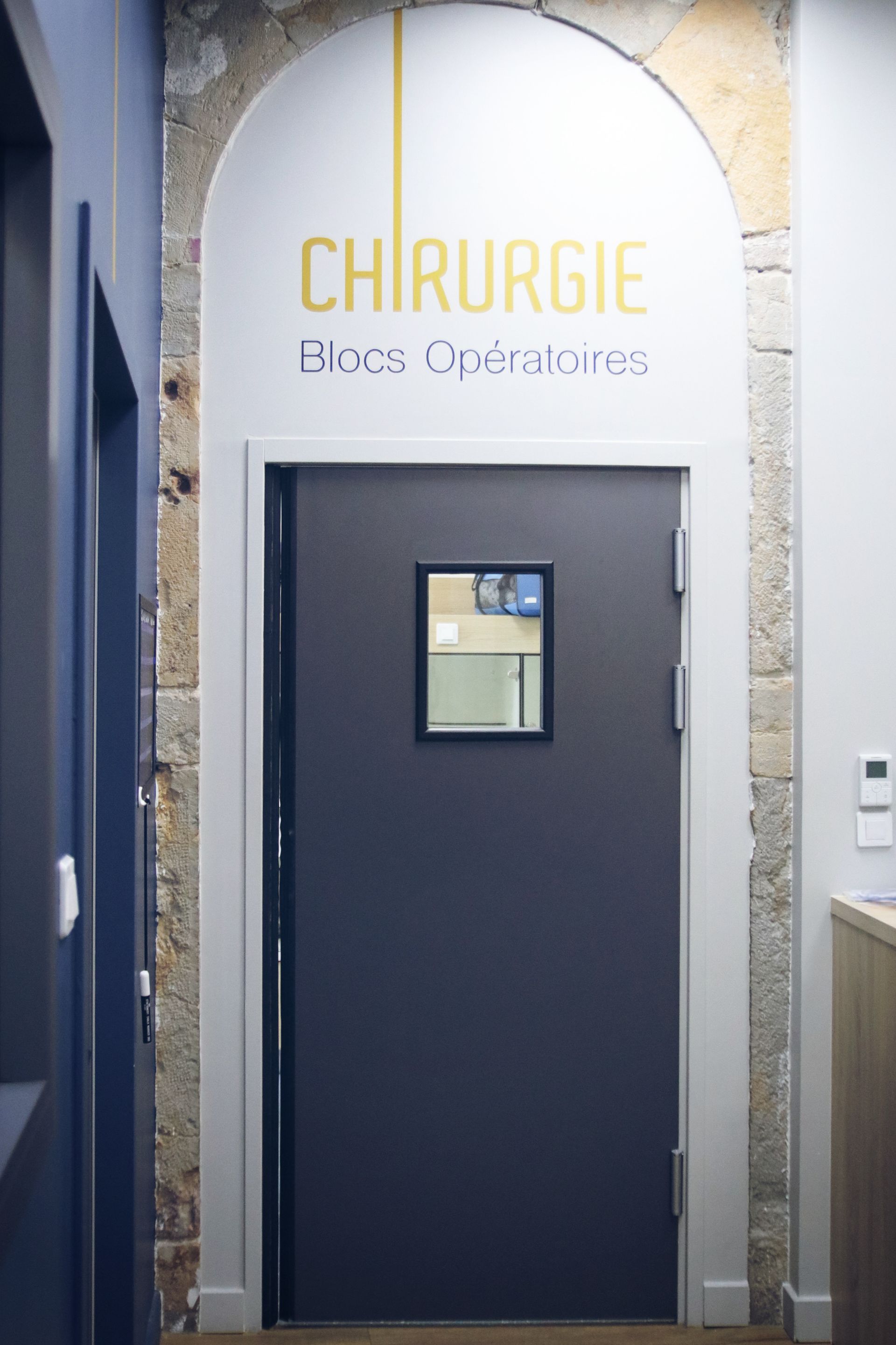 clinique vétérinaire féline, vétérinaire pour chats, vétérinaire spécialiste du chat, médecine féline, clinique féline Lyon, vétérinaire chats Lyon, soins pour chats, clinique Cat Friendly Lyon, hôpital pour chats, bien-être félin, spécialiste chat Rhône, Entrechats Lyon, consultation vétérinaire chat, vétérinaire chat Lyon, mon chat et moi Lyon, mon chat et moi Rhône, vaccination chat Lyon, médecine féline, soins chat, vétérinaire félin Rhône, check-up chat, prévention santé chat, vétérinaire comportement chat, chat stressé vétérinaire, chat agressif vétérinaire, comportement félin, clinique Cat Friendly Lyon, bien-être félin, soins doux chat, apaiser chat, hospitalisation chat, chirurgie féline, anesthésie chat, soins post-opératoires chat, hôpital vétérinaire Rhône, clinique féline Lyon, surveillance vétérinaire chat, chirurgie douce chat, nutrition féline, alimentation chat, prévention maladies chat, conseils vétérinaires chat, suivi de poids chat, santé féline Lyon, vétérinaire nutrition chat,clinique Cat Friendly Lyon, équipe vétérinaire chats, vétérinaire félin Lyon, médecine du chat, bien-être félin, soins respectueux, spécialiste chat Lyon, conseils vétérinaires chat, blog chat, santé du chat, comportement félin, soins chat Lyon, prévention chat,