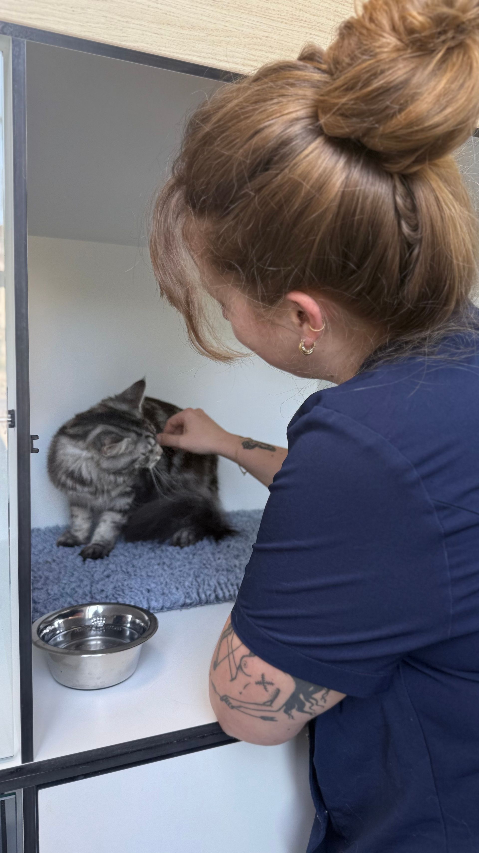 clinique vétérinaire féline, vétérinaire pour chats, vétérinaire spécialiste du chat, médecine féline, clinique féline Lyon, vétérinaire chats Lyon, soins pour chats, clinique Cat Friendly Lyon, hôpital pour chats, bien-être félin, spécialiste chat Rhône, Entrechats Lyon, consultation vétérinaire chat, vétérinaire chat Lyon, mon chat et moi Lyon, mon chat et moi Rhône, vaccination chat Lyon, médecine féline, soins chat, vétérinaire félin Rhône, check-up chat, prévention santé chat, vétérinaire comportement chat, chat stressé vétérinaire, chat agressif vétérinaire, comportement félin, clinique Cat Friendly Lyon, bien-être félin, soins doux chat, apaiser chat, hospitalisation chat, chirurgie féline, anesthésie chat, soins post-opératoires chat, hôpital vétérinaire Rhône, clinique féline Lyon, surveillance vétérinaire chat, chirurgie douce chat, nutrition féline, alimentation chat, prévention maladies chat, conseils vétérinaires chat, suivi de poids chat, santé féline Lyon, vétérinaire nutrition chat,clinique Cat Friendly Lyon, équipe vétérinaire chats, vétérinaire félin Lyon, médecine du chat, bien-être félin, soins respectueux, spécialiste chat Lyon, conseils vétérinaires chat, blog chat, santé du chat, comportement félin, soins chat Lyon, prévention chat,