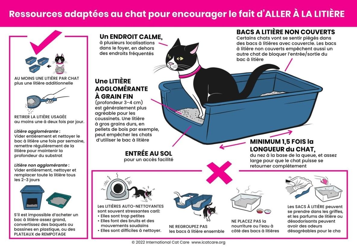 mon chat est malpropre, mon chat fait a cote de sa lititere, mon chat pisse partout, mon chat ne va pas dans la litière, mon chat fait du marquage urinaire, mon chat est pas propre, comment faire pour que mon chat fasse pipi dans la litière, mon chat urine sur les canapés, mon chat urine sur les lits,  Entrechats Lyon, consultation vétérinaire chat, vétérinaire chat Lyon, mon chat et moi Lyon, mon chat et moi Rhône, vaccination chat Lyon, médecine féline, soins chat, vétérinaire félin Rhône, check-up chat, prévention santé chat, vétérinaire comportement chat, chat stressé vétérinaire, chat agressif vétérinaire, comportement félin, clinique Cat Friendly Lyon, bien-être félin, soins doux chat, apaiser chat, hospitalisation chat, chirurgie féline, anesthésie chat, soins post-opératoires chat, hôpital vétérinaire Rhône, clinique féline Lyon, surveillance vétérinaire chat, chirurgie douce chat, nutrition féline, alimentation chat, prévention maladies chat, conseils vétérinaires chat, suivi de poids chat, santé féline Lyon, vétérinaire nutrition chat,clinique Cat Friendly Lyon, équipe vétérinaire chats, vétérinaire félin Lyon, médecine du chat, bien-être félin, soins respectueux, spécialiste chat Lyon, conseils vétérinaires chat, blog chat, santé du chat, comportement félin, soins chat Lyon, prévention chat