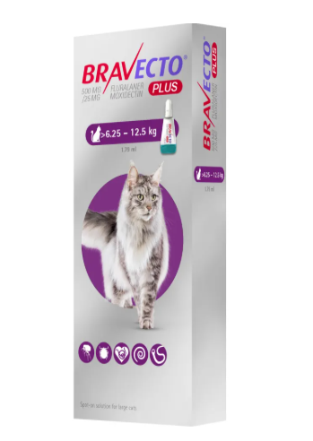 puces, mon chats a des puces, infestation de puces, clinique vétérinaire féline, vétérinaire pour chats, vétérinaire spécialiste du chat, médecine féline, clinique féline Lyon, vétérinaire chats Lyon, soins pour chats, clinique Cat Friendly Lyon, hôpital pour chats, bien-être félin, spécialiste chat Rhône, Entrechats Lyon, consultation vétérinaire chat, vétérinaire chat Lyon, mon chat et moi Lyon, mon chat et moi Rhône, vaccination chat Lyon, médecine féline, soins chat, vétérinaire félin Rhône, check-up chat, prévention santé chat, vétérinaire comportement chat, chat stressé vétérinaire, chat agressif vétérinaire, comportement félin, clinique Cat Friendly Lyon, bien-être félin, soins doux chat, apaiser chat, hospitalisation chat, chirurgie féline, anesthésie chat, soins post-opératoires chat, hôpital vétérinaire Rhône, clinique féline Lyon, surveillance vétérinaire chat, chirurgie douce chat, nutrition féline, alimentation chat, prévention maladies chat, conseils vétérinaires chat, suivi de poids chat, santé féline Lyon, vétérinaire nutrition chat,clinique Cat Friendly Lyon, équipe vétérinaire chats, vétérinaire félin Lyon, médecine du chat, bien-être félin, soins respectueux, spécialiste chat Lyon, conseils vétérinaires chat, blog chat, santé du chat, comportement félin, soins chat Lyon, prévention chat,
