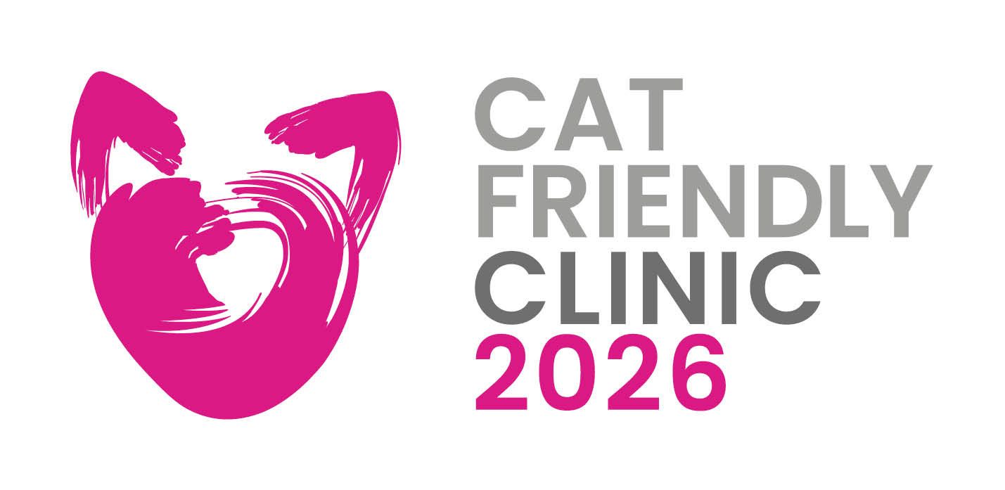 clinique vétérinaire féline, vétérinaire pour chats, vétérinaire spécialiste du chat, médecine féline, clinique féline Lyon, vétérinaire chats Lyon, soins pour chats, clinique Cat Friendly Lyon, hôpital pour chats, bien-être félin, spécialiste chat Rhône, Entrechats Lyon, consultation vétérinaire chat, vétérinaire chat Lyon, mon chat et moi Lyon, mon chat et moi Rhône, vaccination chat Lyon, médecine féline, soins chat, vétérinaire félin Rhône, check-up chat, prévention santé chat, vétérinaire comportement chat, chat stressé vétérinaire, chat agressif vétérinaire, comportement félin, clinique Cat Friendly Lyon, bien-être félin, soins doux chat, apaiser chat, hospitalisation chat, chirurgie féline, anesthésie chat, soins post-opératoires chat, hôpital vétérinaire Rhône, clinique féline Lyon, surveillance vétérinaire chat, chirurgie douce chat, nutrition féline, alimentation chat, prévention maladies chat, conseils vétérinaires chat, suivi de poids chat, santé féline Lyon, vétérinaire nutrition chat,clinique Cat Friendly Lyon, équipe vétérinaire chats, vétérinaire félin Lyon, médecine du chat, bien-être félin, soins respectueux, spécialiste chat Lyon, conseils vétérinaires chat, blog chat, santé du chat, comportement félin, soins chat Lyon, prévention chat,