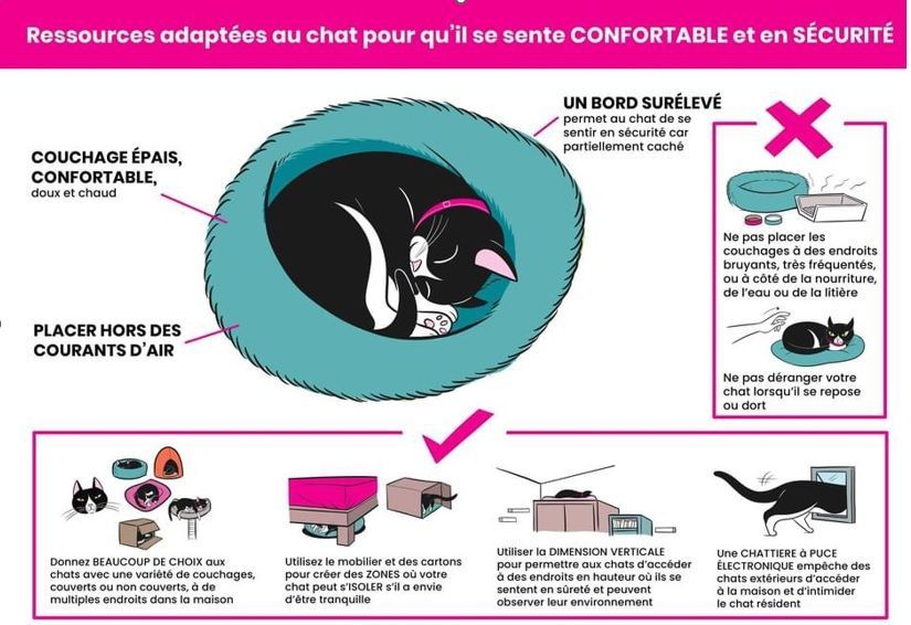 mon chat est malpropre, mon chat fait a cote de sa lititere, mon chat pisse partout, mon chat ne va pas dans la litière, mon chat fait du marquage urinaire, mon chat est pas propre, comment faire pour que mon chat fasse pipi dans la litière, mon chat urine sur les canapés, mon chat urine sur les lits,  Entrechats Lyon, consultation vétérinaire chat, vétérinaire chat Lyon, mon chat et moi Lyon, mon chat et moi Rhône, vaccination chat Lyon, médecine féline, soins chat, vétérinaire félin Rhône, check-up chat, prévention santé chat, vétérinaire comportement chat, chat stressé vétérinaire, chat agressif vétérinaire, comportement félin, clinique Cat Friendly Lyon, bien-être félin, soins doux chat, apaiser chat, hospitalisation chat, chirurgie féline, anesthésie chat, soins post-opératoires chat, hôpital vétérinaire Rhône, clinique féline Lyon, surveillance vétérinaire chat, chirurgie douce chat, nutrition féline, alimentation chat, prévention maladies chat, conseils vétérinaires chat, suivi de poids chat, santé féline Lyon, vétérinaire nutrition chat,clinique Cat Friendly Lyon, équipe vétérinaire chats, vétérinaire félin Lyon, médecine du chat, bien-être félin, soins respectueux, spécialiste chat Lyon, conseils vétérinaires chat, blog chat, santé du chat, comportement félin, soins chat Lyon, prévention chat