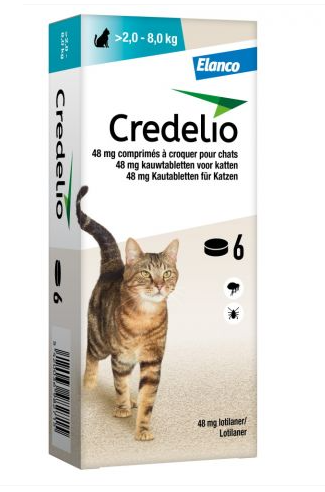 puces, infestation de puce, mon chat a des puces, clinique vétérinaire féline, vétérinaire pour chats, vétérinaire spécialiste du chat, médecine féline, clinique féline Lyon, vétérinaire chats Lyon, soins pour chats, clinique Cat Friendly Lyon, hôpital pour chats, bien-être félin, spécialiste chat Rhône, Entrechats Lyon, consultation vétérinaire chat, vétérinaire chat Lyon, mon chat et moi Lyon, mon chat et moi Rhône, vaccination chat Lyon, médecine féline, soins chat, vétérinaire félin Rhône, check-up chat, prévention santé chat, vétérinaire comportement chat, chat stressé vétérinaire, chat agressif vétérinaire, comportement félin, clinique Cat Friendly Lyon, bien-être félin, soins doux chat, apaiser chat, hospitalisation chat, chirurgie féline, anesthésie chat, soins post-opératoires chat, hôpital vétérinaire Rhône, clinique féline Lyon, surveillance vétérinaire chat, chirurgie douce chat, nutrition féline, alimentation chat, prévention maladies chat, conseils vétérinaires chat, suivi de poids chat, santé féline Lyon, vétérinaire nutrition chat,clinique Cat Friendly Lyon, équipe vétérinaire chats, vétérinaire félin Lyon, médecine du chat, bien-être félin, soins respectueux, spécialiste chat Lyon, conseils vétérinaires chat, blog chat, santé du chat, comportement félin, soins chat Lyon, prévention chat,