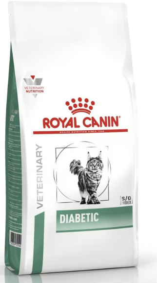 Mon chat est diabetique, le diabete du chat, mon chat a le diabete, pose de capteur de freestyle chez le chat, clinique vétérinaire féline, vétérinaire pour chats, vétérinaire spécialiste du chat, médecine féline, clinique féline Lyon, vétérinaire chats Lyon, soins pour chats, clinique Cat Friendly Lyon, hôpital pour chats, bien-être félin, spécialiste chat Rhône, Entrechats Lyon, consultation vétérinaire chat, vétérinaire chat Lyon, mon chat et moi Lyon, mon chat et moi Rhône, vaccination chat Lyon, médecine féline, soins chat, vétérinaire félin Rhône, check-up chat, prévention santé chat, vétérinaire comportement chat, chat stressé vétérinaire, chat agressif vétérinaire, comportement félin, clinique Cat Friendly Lyon, bien-être félin, soins doux chat, apaiser chat, hospitalisation chat, chirurgie féline, anesthésie chat, soins post-opératoires chat, hôpital vétérinaire Rhône, clinique féline Lyon, surveillance vétérinaire chat, chirurgie douce chat, nutrition féline, alimentation chat, prévention maladies chat, conseils vétérinaires chat, suivi de poids chat, santé féline Lyon, vétérinaire nutrition chat,clinique Cat Friendly Lyon, équipe vétérinaire chats, vétérinaire félin Lyon, médecine du chat, bien-être félin, soins respectueux, spécialiste chat Lyon, conseils vétérinaires chat, blog chat, santé du chat, comportement félin, soins chat Lyon, prévention chat,