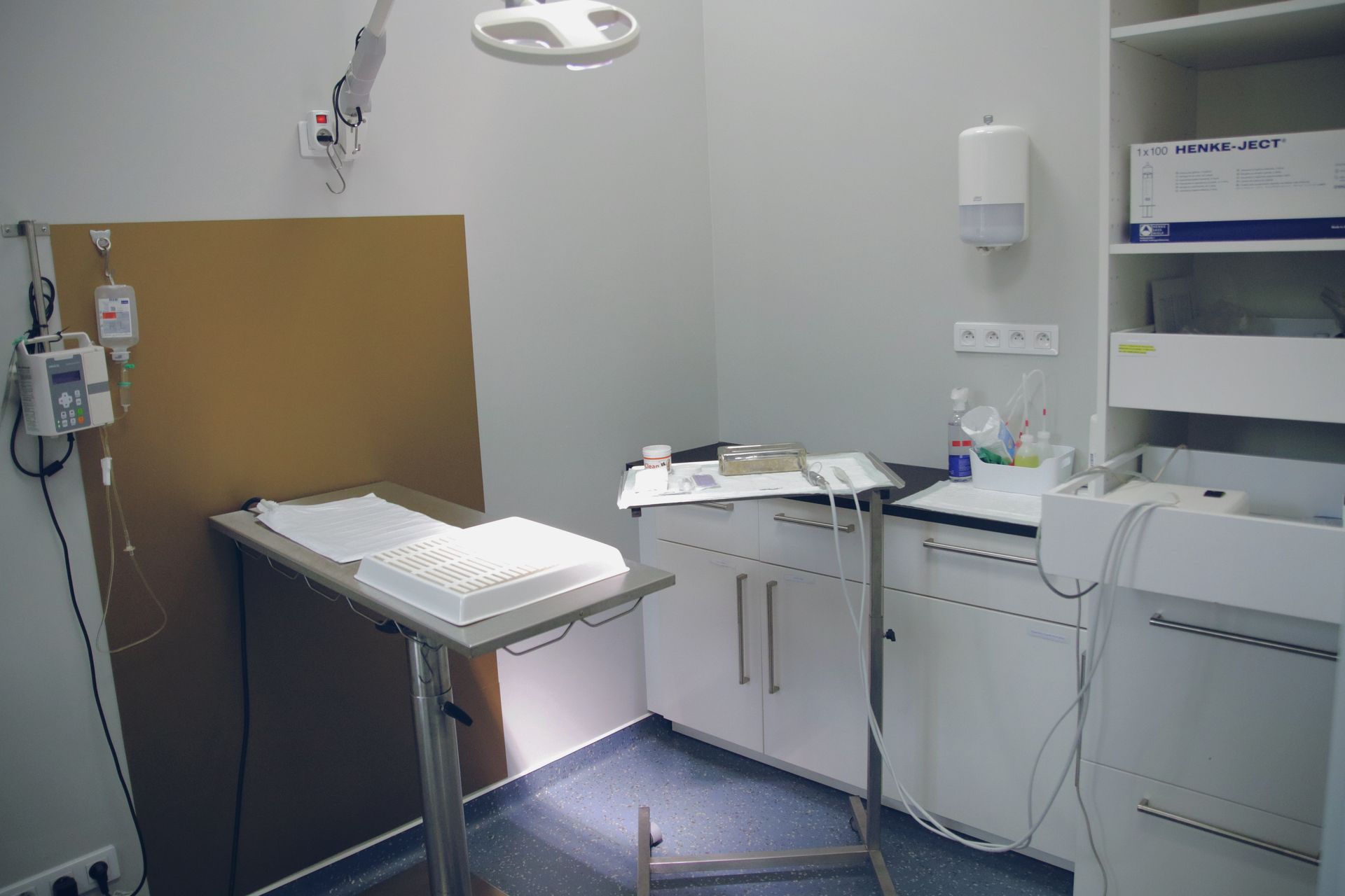 clinique vétérinaire féline, vétérinaire pour chats, vétérinaire spécialiste du chat, médecine féline, clinique féline Lyon, vétérinaire chats Lyon, soins pour chats, clinique Cat Friendly Lyon, hôpital pour chats, bien-être félin, spécialiste chat Rhône, Entrechats Lyon, consultation vétérinaire chat, vétérinaire chat Lyon, mon chat et moi Lyon, mon chat et moi Rhône, vaccination chat Lyon, médecine féline, soins chat, vétérinaire félin Rhône, check-up chat, prévention santé chat, vétérinaire comportement chat, chat stressé vétérinaire, chat agressif vétérinaire, comportement félin, clinique Cat Friendly Lyon, bien-être félin, soins doux chat, apaiser chat, hospitalisation chat, chirurgie féline, anesthésie chat, soins post-opératoires chat, hôpital vétérinaire Rhône, clinique féline Lyon, surveillance vétérinaire chat, chirurgie douce chat, nutrition féline, alimentation chat, prévention maladies chat, conseils vétérinaires chat, suivi de poids chat, santé féline Lyon, vétérinaire nutrition chat,clinique Cat Friendly Lyon, équipe vétérinaire chats, vétérinaire félin Lyon, médecine du chat, bien-être félin, soins respectueux, spécialiste chat Lyon, conseils vétérinaires chat, blog chat, santé du chat, comportement félin, soins chat Lyon, prévention chat,