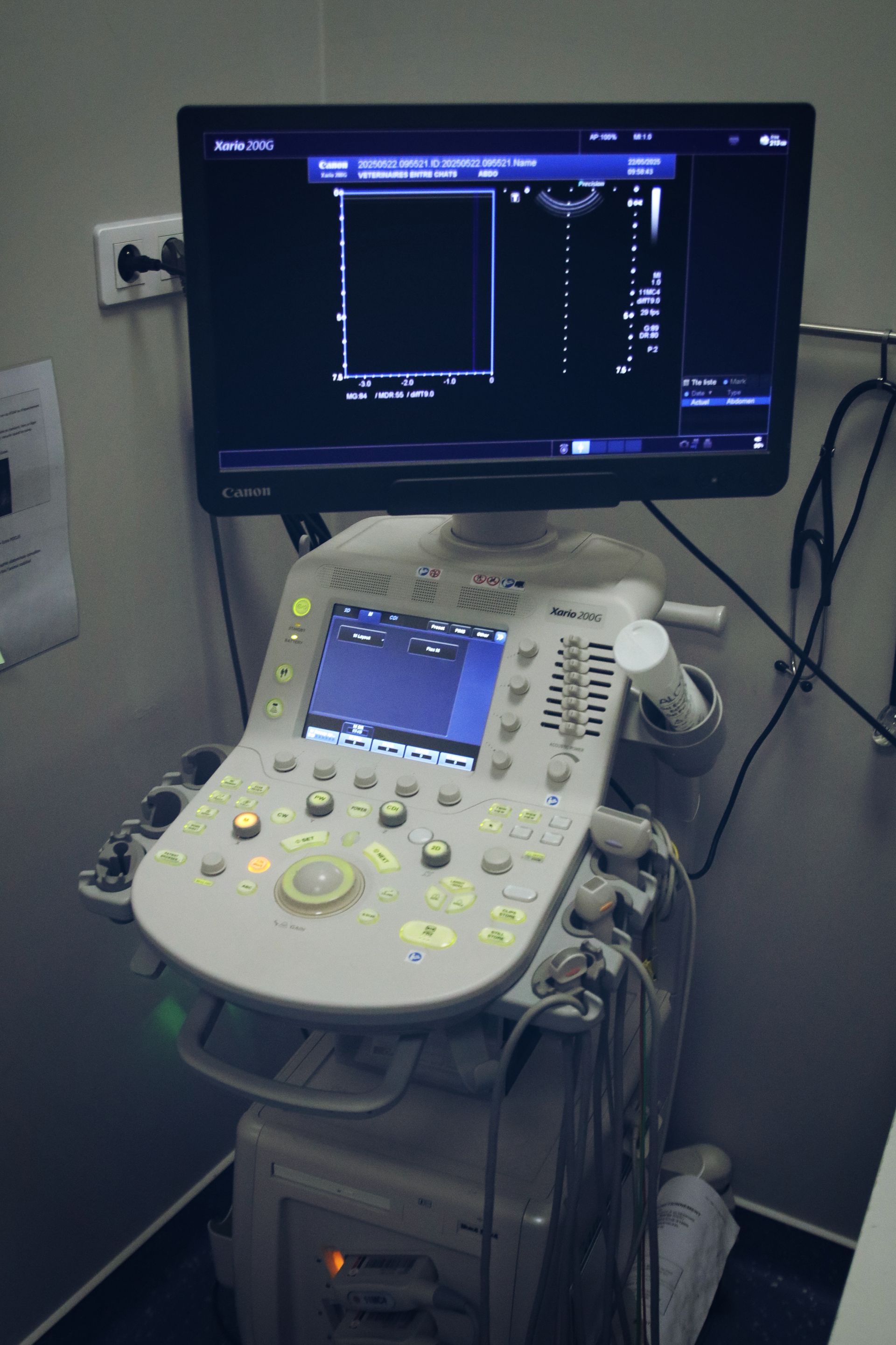 clinique vétérinaire féline, vétérinaire pour chats, vétérinaire spécialiste du chat, médecine féline, clinique féline Lyon, vétérinaire chats Lyon, soins pour chats, clinique Cat Friendly Lyon, hôpital pour chats, bien-être félin, spécialiste chat Rhône, Entrechats Lyon, consultation vétérinaire chat, vétérinaire chat Lyon, mon chat et moi Lyon, mon chat et moi Rhône, vaccination chat Lyon, médecine féline, soins chat, vétérinaire félin Rhône, check-up chat, prévention santé chat, vétérinaire comportement chat, chat stressé vétérinaire, chat agressif vétérinaire, comportement félin, clinique Cat Friendly Lyon, bien-être félin, soins doux chat, apaiser chat, hospitalisation chat, chirurgie féline, anesthésie chat, soins post-opératoires chat, hôpital vétérinaire Rhône, clinique féline Lyon, surveillance vétérinaire chat, chirurgie douce chat, nutrition féline, alimentation chat, prévention maladies chat, conseils vétérinaires chat, suivi de poids chat, santé féline Lyon, vétérinaire nutrition chat,clinique Cat Friendly Lyon, équipe vétérinaire chats, vétérinaire félin Lyon, médecine du chat, bien-être félin, soins respectueux, spécialiste chat Lyon, conseils vétérinaires chat, blog chat, santé du chat, comportement félin, soins chat Lyon, prévention chat,