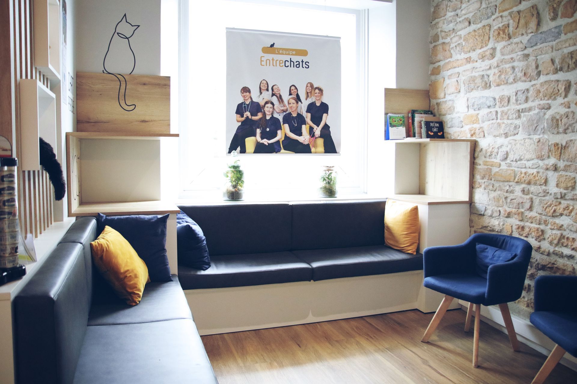 Mon doit etre hospitalisé, hospitalisation chat, mon chat est malade,  médecine féline, clinique féline Lyon, vétérinaire chats Lyon, soins pour chats, clinique Cat Friendly Lyon, hôpital pour chats, bien-être félin, spécialiste chat Rhône, Entrechats Lyon, consultation vétérinaire chat, vétérinaire chat Lyon, mon chat et moi Lyon, mon chat et moi Rhône, vaccination chat Lyon, médecine féline, soins chat, vétérinaire félin Rhône, check-up chat, prévention santé chat, vétérinaire comportement chat, chat stressé vétérinaire, chat agressif vétérinaire, comportement félin, clinique Cat Friendly Lyon, bien-être félin, soins doux chat, apaiser chat, hospitalisation chat, chirurgie féline, anesthésie chat, soins post-opératoires chat, hôpital vétérinaire Rhône, clinique féline Lyon, surveillance vétérinaire chat, chirurgie douce chat, nutrition féline, alimentation chat, prévention maladies chat, conseils vétérinaires chat, suivi de poids chat, santé féline Lyon, vétérinaire nutrition chat,clinique Cat Friendly Lyon, équipe vétérinaire chats, vétérinaire félin Lyon, médecine du chat, bien-être félin, soins respectueux, spécialiste chat Lyon, conseils vétérinaires chat, blog chat, santé du chat, comportement félin, soins chat Lyon, prévention chat