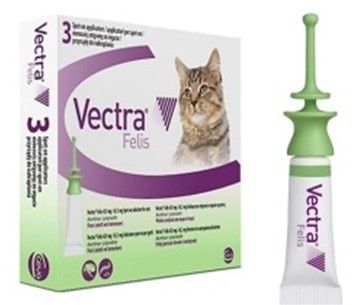 puces, mon chat a des puces, infestation de puces , clinique vétérinaire féline, vétérinaire pour chats, vétérinaire spécialiste du chat, médecine féline, clinique féline Lyon, vétérinaire chats Lyon, soins pour chats, clinique Cat Friendly Lyon, hôpital pour chats, bien-être félin, spécialiste chat Rhône, Entrechats Lyon, consultation vétérinaire chat, vétérinaire chat Lyon, mon chat et moi Lyon, mon chat et moi Rhône, vaccination chat Lyon, médecine féline, soins chat, vétérinaire félin Rhône, check-up chat, prévention santé chat, vétérinaire comportement chat, chat stressé vétérinaire, chat agressif vétérinaire, comportement félin, clinique Cat Friendly Lyon, bien-être félin, soins doux chat, apaiser chat, hospitalisation chat, chirurgie féline, anesthésie chat, soins post-opératoires chat, hôpital vétérinaire Rhône, clinique féline Lyon, surveillance vétérinaire chat, chirurgie douce chat, nutrition féline, alimentation chat, prévention maladies chat, conseils vétérinaires chat, suivi de poids chat, santé féline Lyon, vétérinaire nutrition chat,clinique Cat Friendly Lyon, équipe vétérinaire chats, vétérinaire félin Lyon, médecine du chat, bien-être félin, soins respectueux, spécialiste chat Lyon, conseils vétérinaires chat, blog chat, santé du chat, comportement félin, soins chat Lyon, prévention chat,