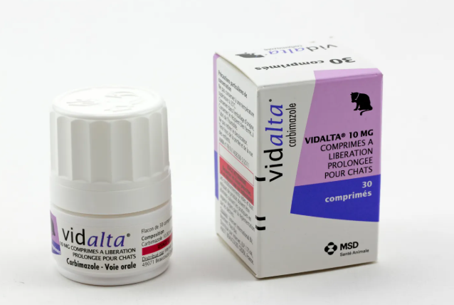 Thyroide chat ,clinique vétérinaire féline, vétérinaire pour chats, vétérinaire spécialiste du chat, médecine féline, clinique féline Lyon, vétérinaire chats Lyon, soins pour chats, clinique Cat Friendly Lyon, hôpital pour chats, bien-être félin, spécialiste chat Rhône, Entrechats Lyon, consultation vétérinaire chat, vétérinaire chat Lyon, mon chat et moi Lyon, mon chat et moi Rhône, vaccination chat Lyon, médecine féline, soins chat, vétérinaire félin Rhône, check-up chat, prévention santé chat, vétérinaire comportement chat, chat stressé vétérinaire, chat agressif vétérinaire, comportement félin, clinique Cat Friendly Lyon, bien-être félin, soins doux chat, apaiser chat, hospitalisation chat, chirurgie féline, anesthésie chat, soins post-opératoires chat, hôpital vétérinaire Rhône, clinique féline Lyon, surveillance vétérinaire chat, chirurgie douce chat, nutrition féline, alimentation chat, prévention maladies chat, conseils vétérinaires chat, suivi de poids chat, santé féline Lyon, vétérinaire nutrition chat,clinique Cat Friendly Lyon, équipe vétérinaire chats, vétérinaire félin Lyon, médecine du chat, bien-être félin, soins respectueux, spécialiste chat Lyon, conseils vétérinaires chat, blog chat, santé du chat, comportement félin, soins chat Lyon, prévention chat,