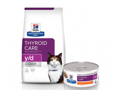 thyroide chat, clinique vétérinaire féline, vétérinaire pour chats, vétérinaire spécialiste du chat, médecine féline, clinique féline Lyon, vétérinaire chats Lyon, soins pour chats, clinique Cat Friendly Lyon, hôpital pour chats, bien-être félin, spécialiste chat Rhône, Entrechats Lyon, consultation vétérinaire chat, vétérinaire chat Lyon, mon chat et moi Lyon, mon chat et moi Rhône, vaccination chat Lyon, médecine féline, soins chat, vétérinaire félin Rhône, check-up chat, prévention santé chat, vétérinaire comportement chat, chat stressé vétérinaire, chat agressif vétérinaire, comportement félin, clinique Cat Friendly Lyon, bien-être félin, soins doux chat, apaiser chat, hospitalisation chat, chirurgie féline, anesthésie chat, soins post-opératoires chat, hôpital vétérinaire Rhône, clinique féline Lyon, surveillance vétérinaire chat, chirurgie douce chat, nutrition féline, alimentation chat, prévention maladies chat, conseils vétérinaires chat, suivi de poids chat, santé féline Lyon, vétérinaire nutrition chat,clinique Cat Friendly Lyon, équipe vétérinaire chats, vétérinaire félin Lyon, médecine du chat, bien-être félin, soins respectueux, spécialiste chat Lyon, conseils vétérinaires chat, blog chat, santé du chat, comportement félin, soins chat Lyon, prévention chat,