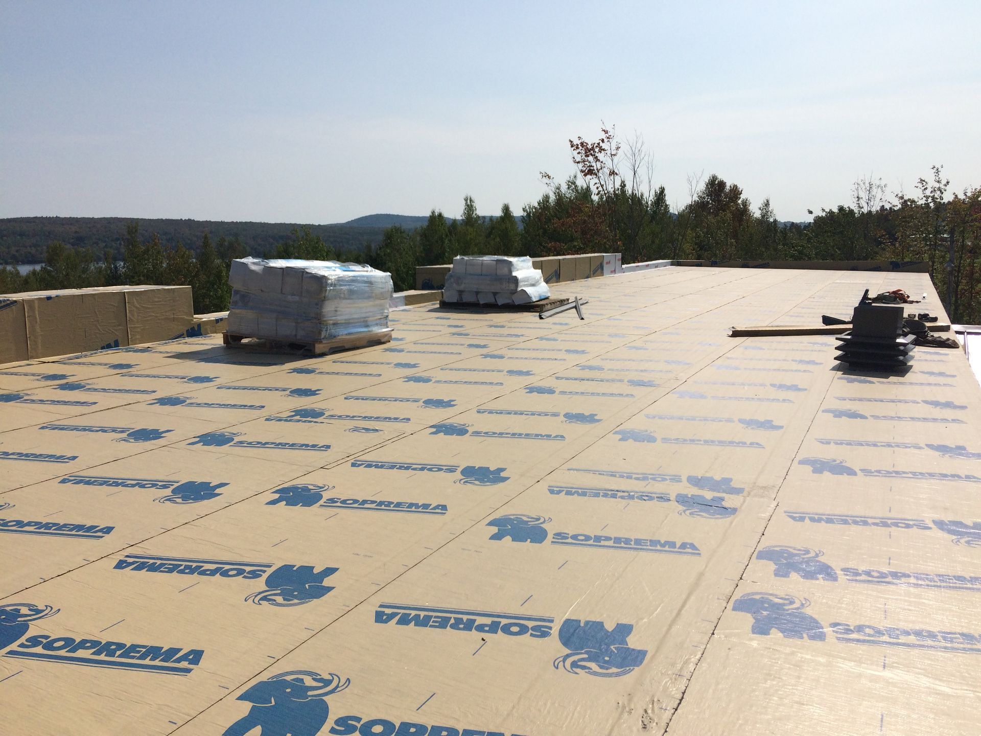 Un toit avec beaucoup de mousse dessus