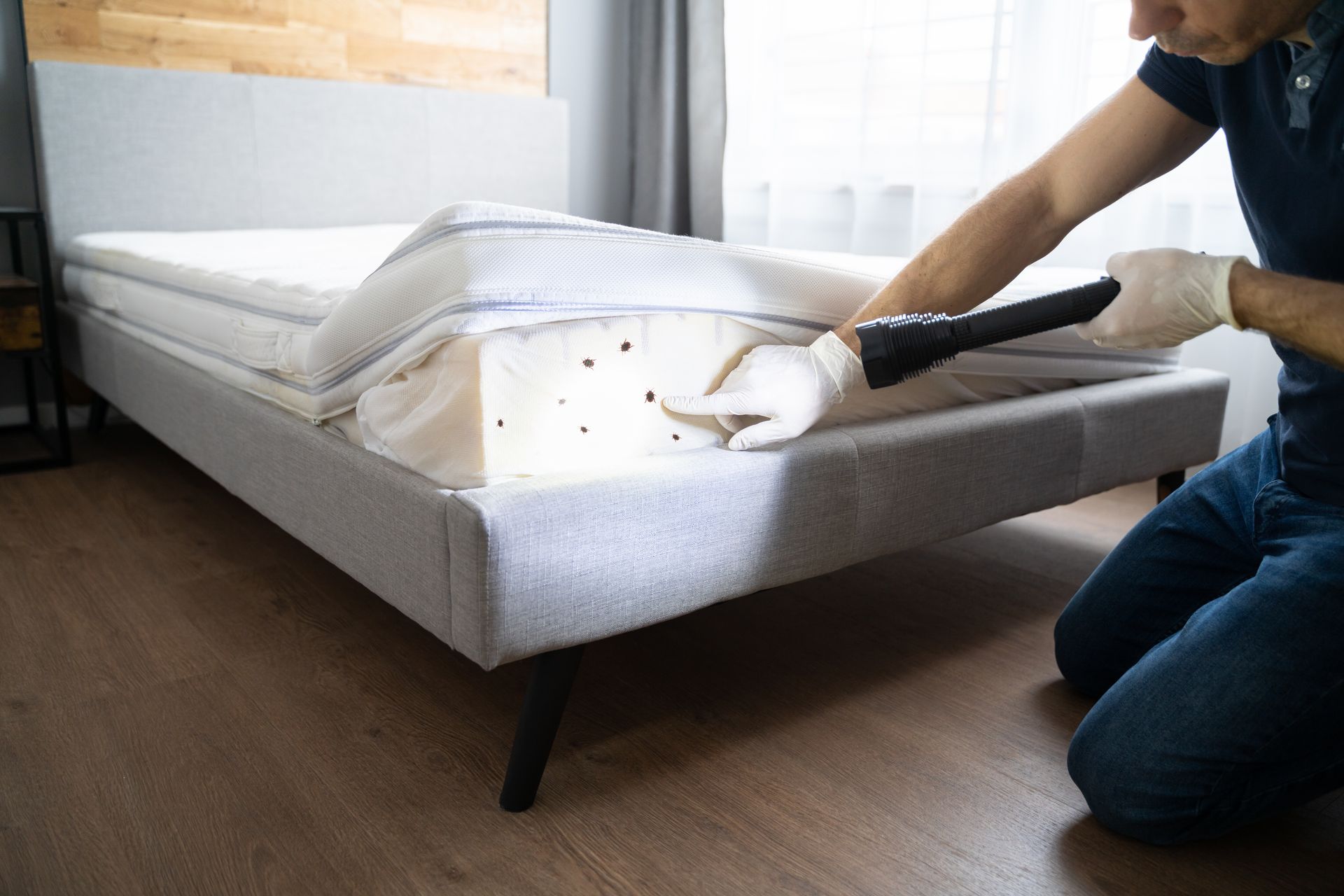 A man is cleaning a bed with a vacuum cleaner.