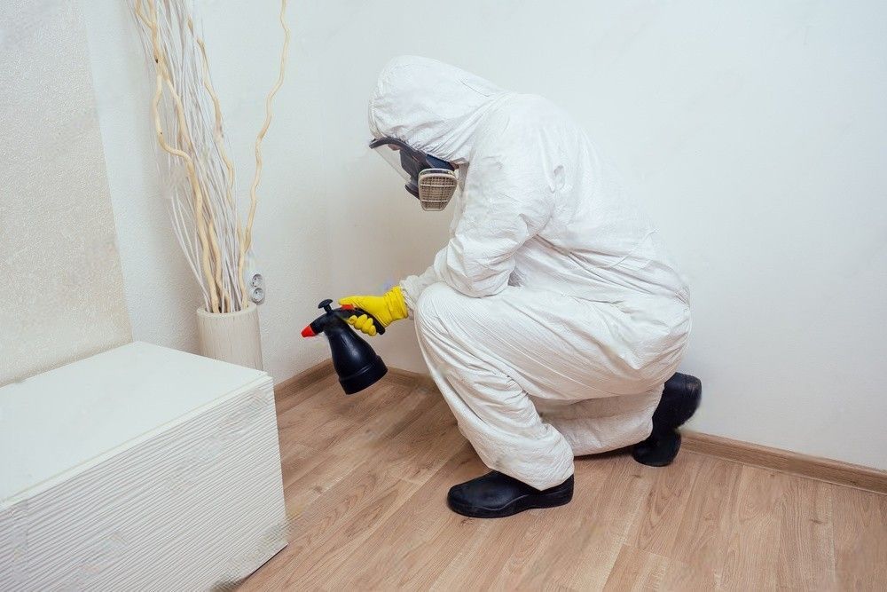 A man in a protective suit is spraying a room with a spray bottle.