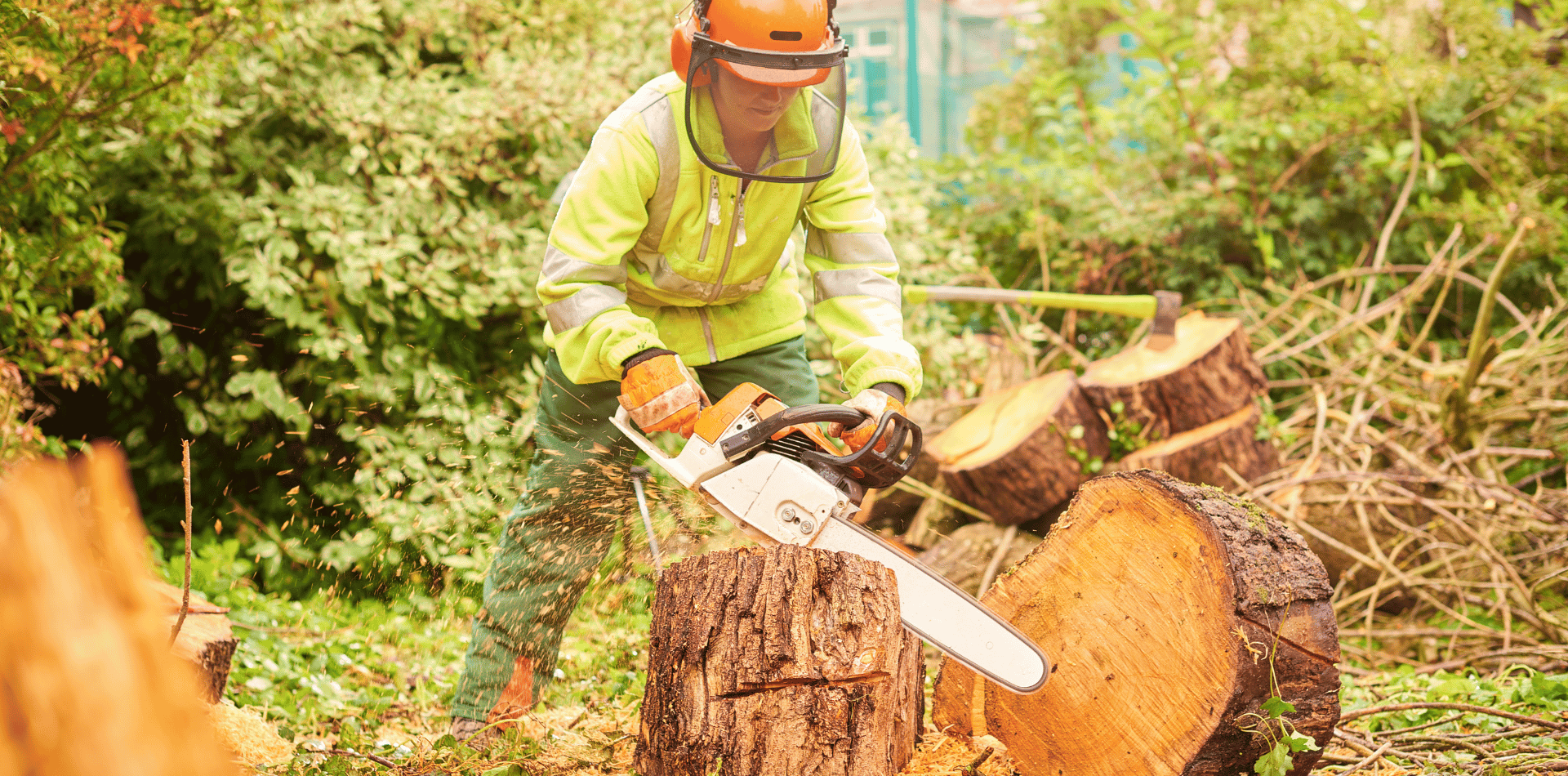 Arborist removing a stump