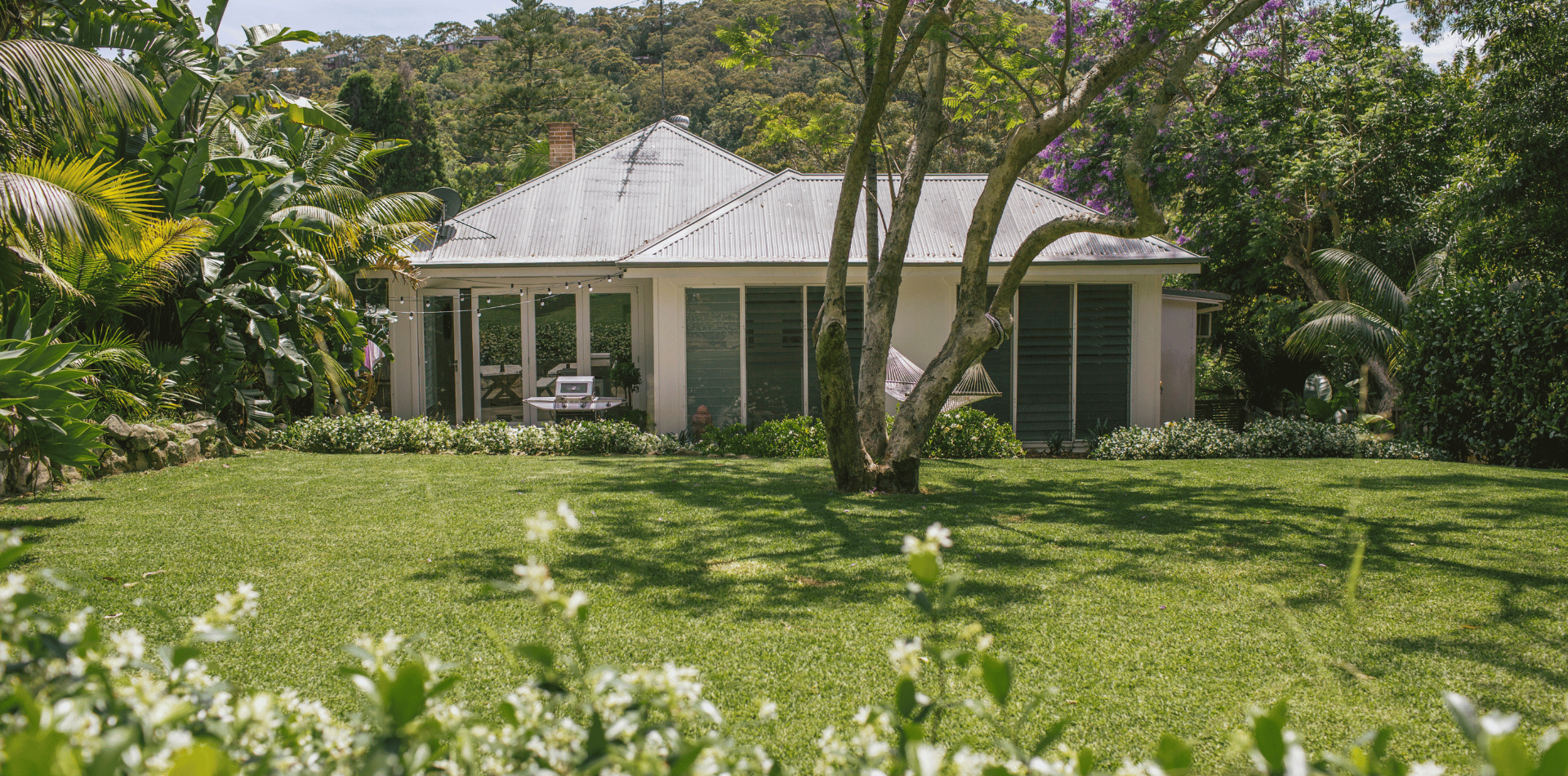 Australian Backyard trees