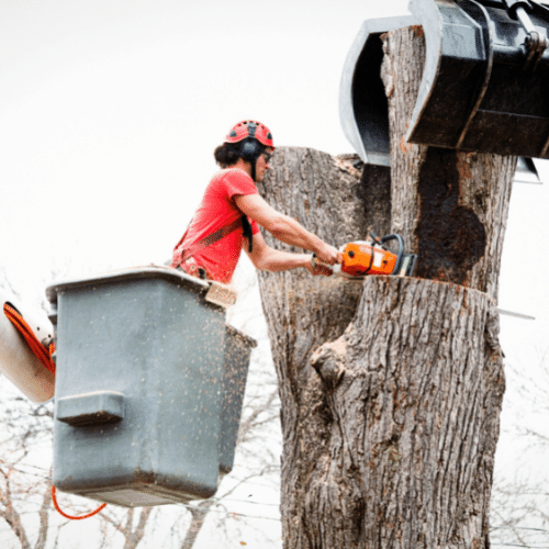 Woman worker with a chainsaw