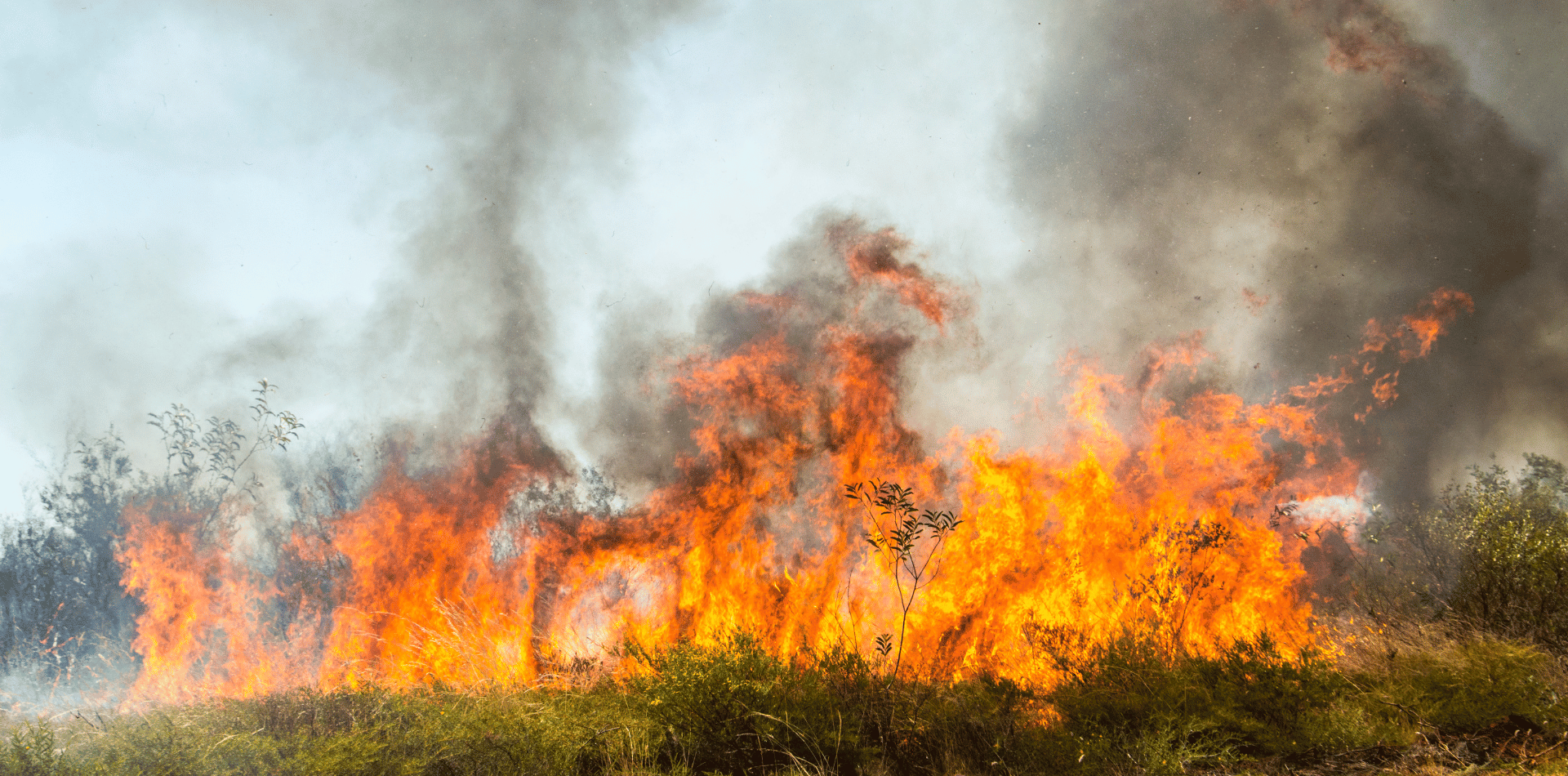 Grass fire