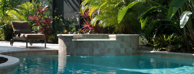 Palm Trees around a Pool