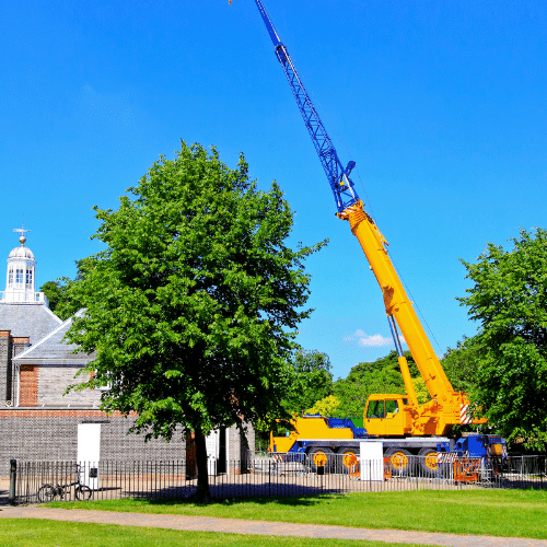 A crane removing a tree