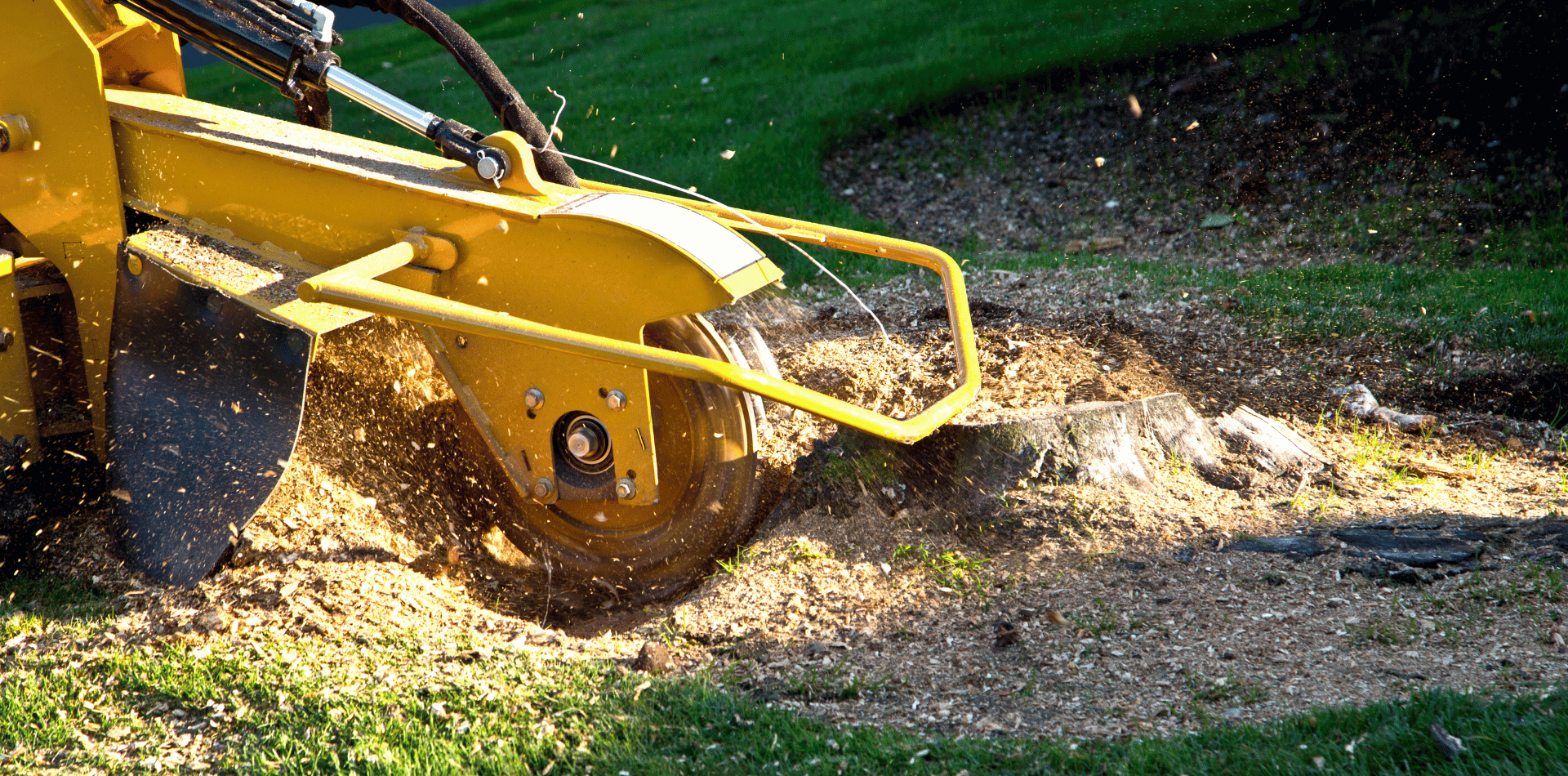 Stump Grinding in progress