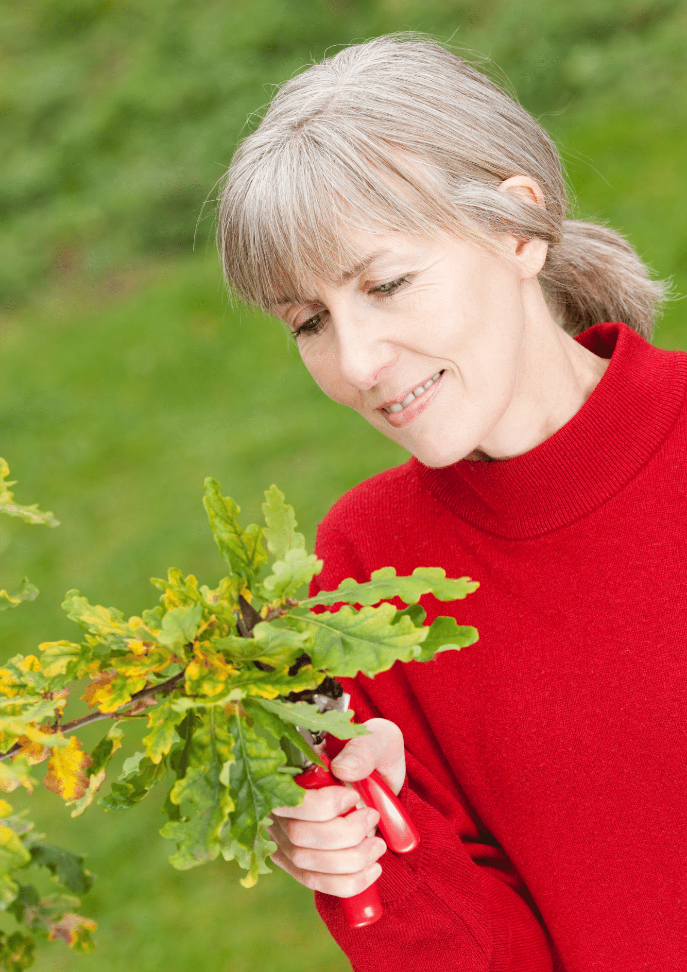 Woman doing Tree pruning