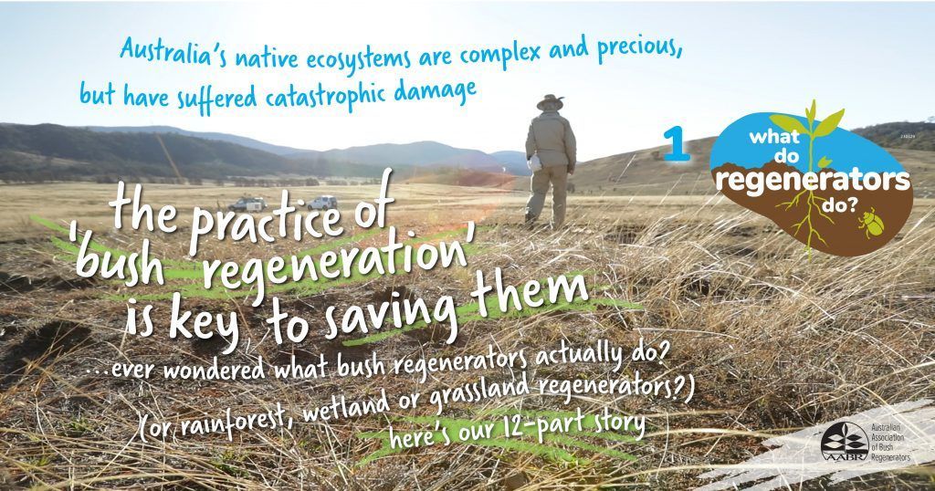 Man in Field, Bush Regeneration Graphic — NatureWise Pest Control In Port Macquarie, NSW