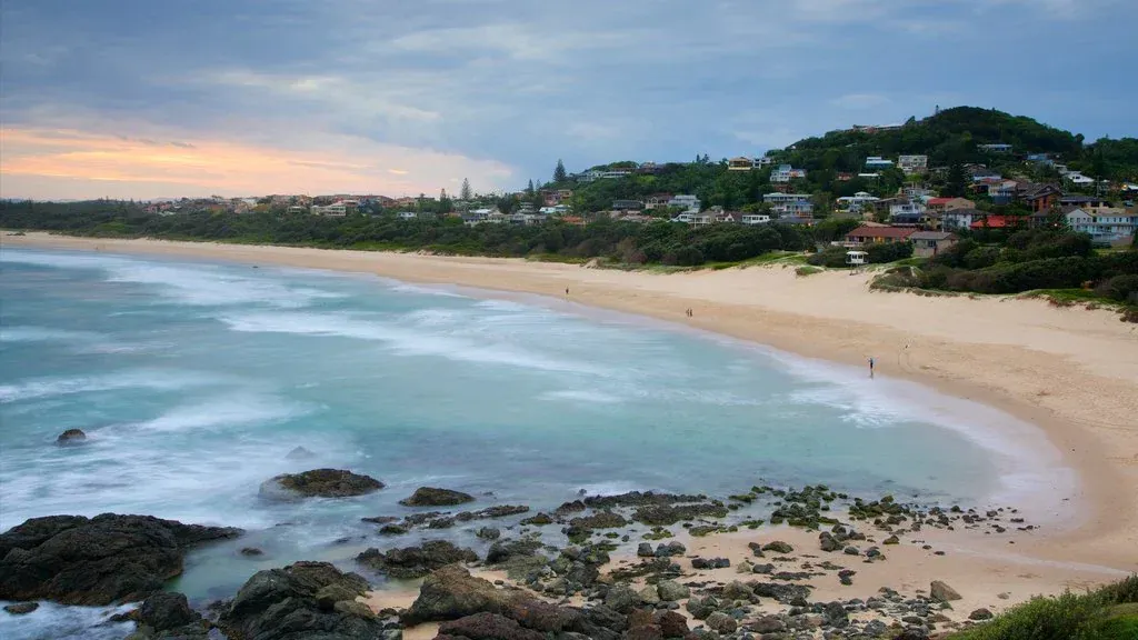Port Macquarie lighthouse beach arial photo, Common pests in Port Macquarie and how to deal with them naturewise pest control