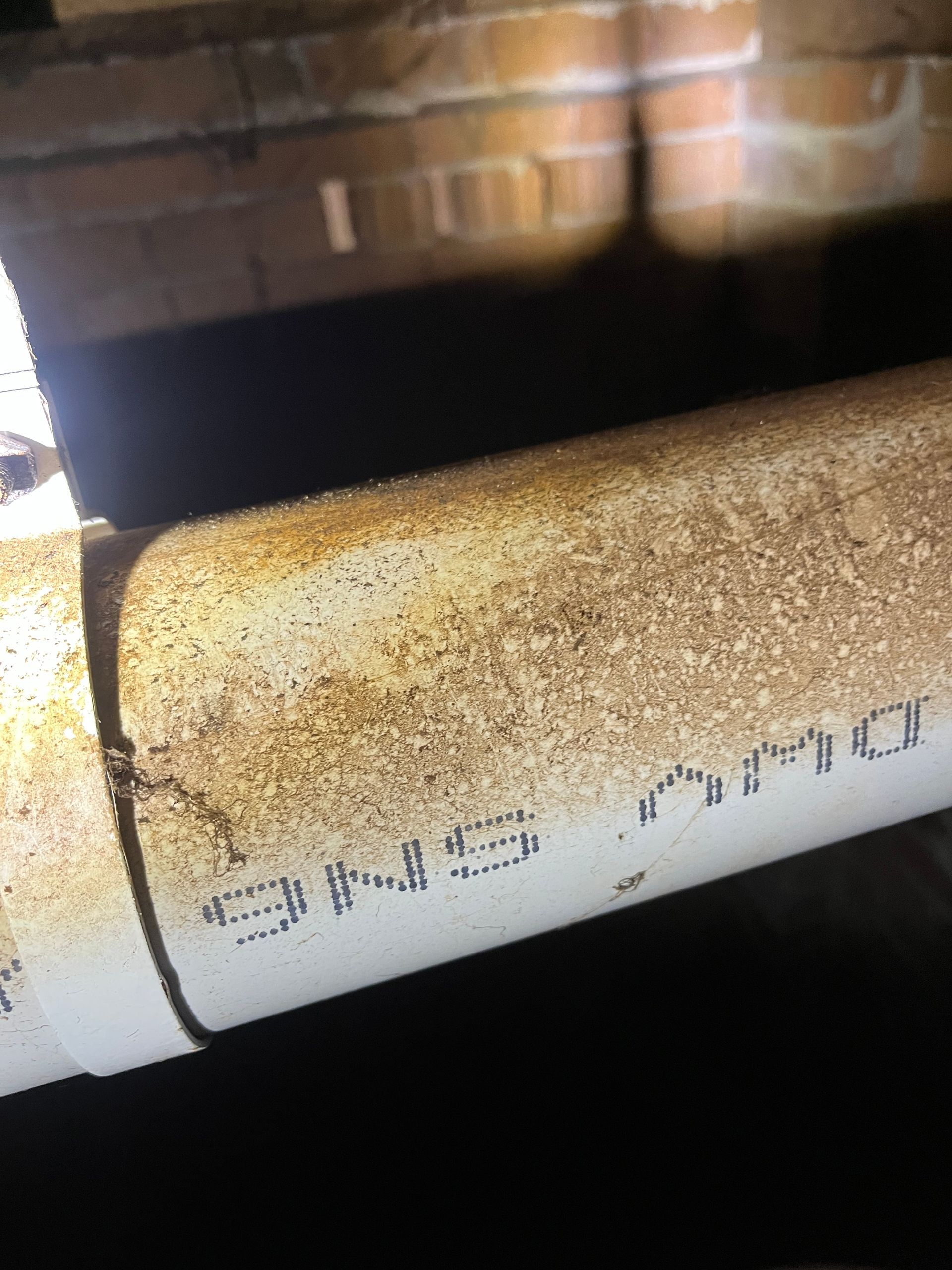 PVC pipe in subfloor, white with brown stains and marks, smear marks showing past rodent activity. rodent rat pest control naturewise port macquarie nsw