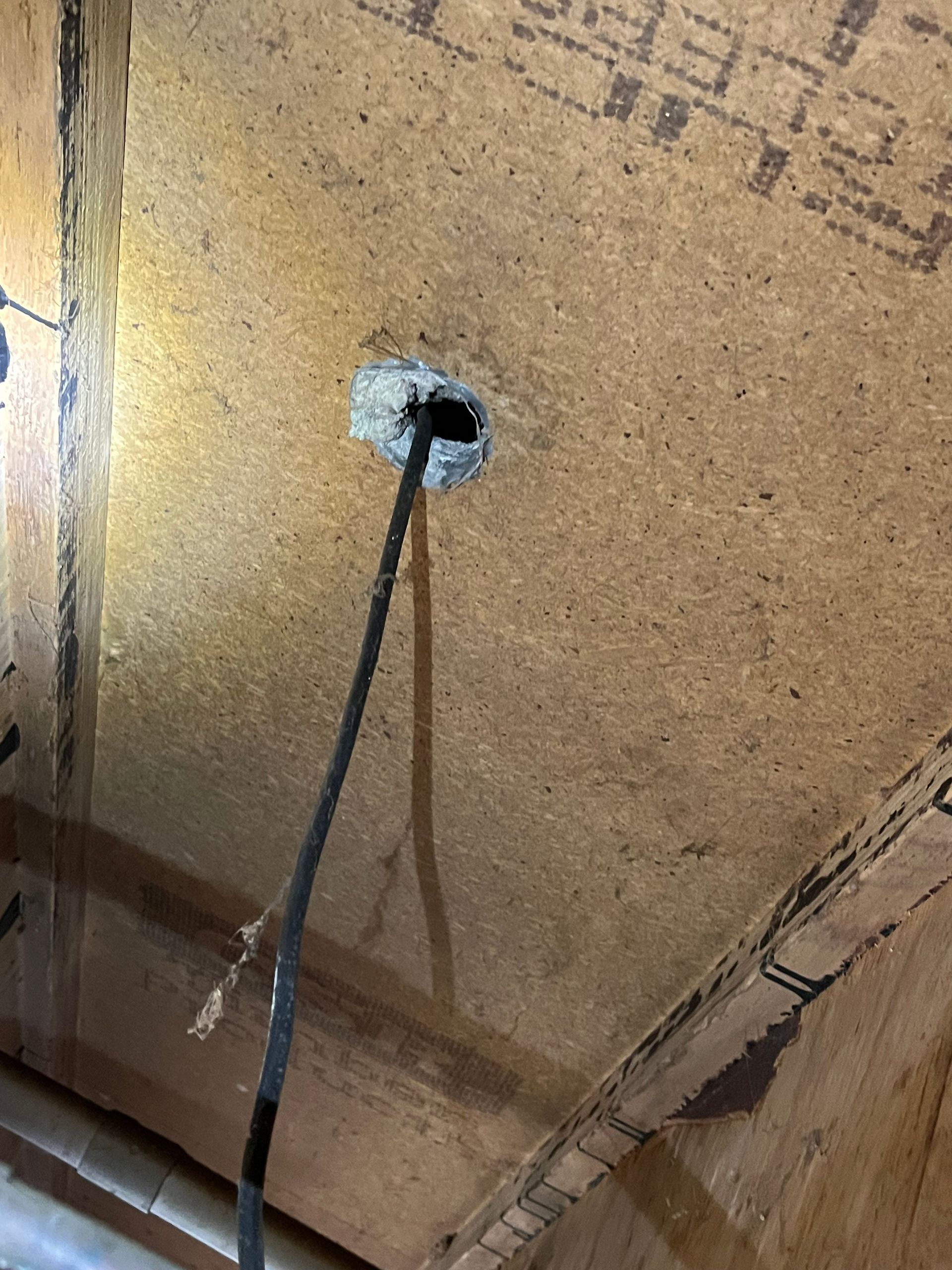 photo of large exposed hole in subfloor with black cable hanging down. rodent rat pest control naturewise port macquarie nsw