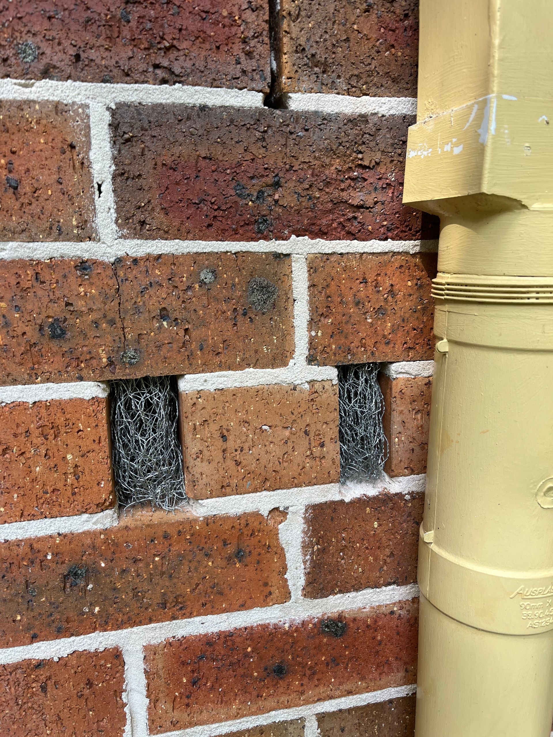 weep holes on home red brickwork with rodent pest proofing steel wool, yellow drain pipe to right. rodent pest prevention proofing  pest control NatureWise port macquarie nsw