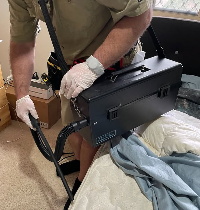 Person Steam Cleaning a Grey Mattress — NatureWise Pest Control In Port Macquarie, NSW