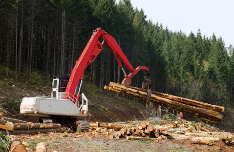 Red and White Logging Machine Lifting Logs in a Forest — NatureWise Pest Control In Port Macquarie, NSW